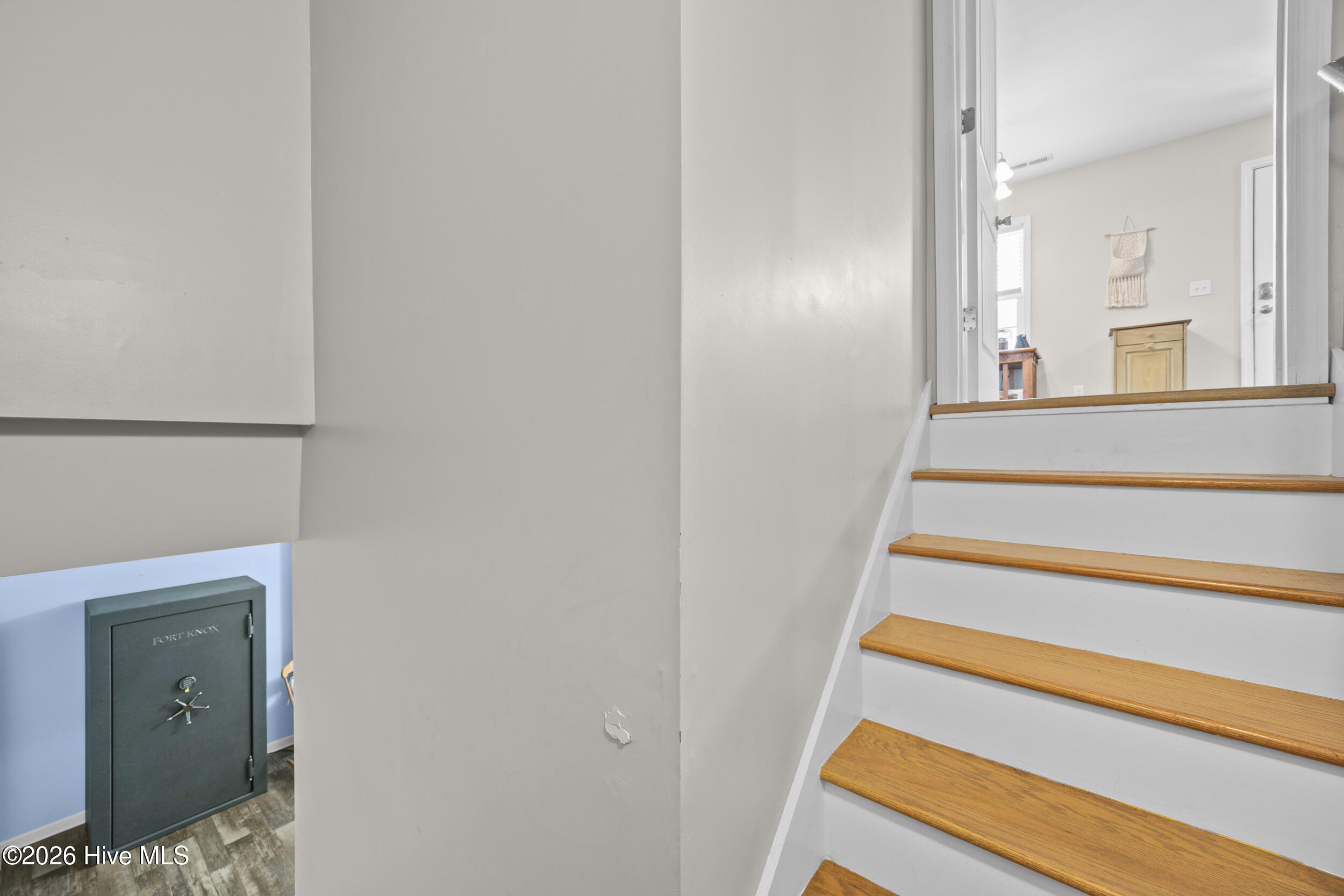 100569653 | Photo 20