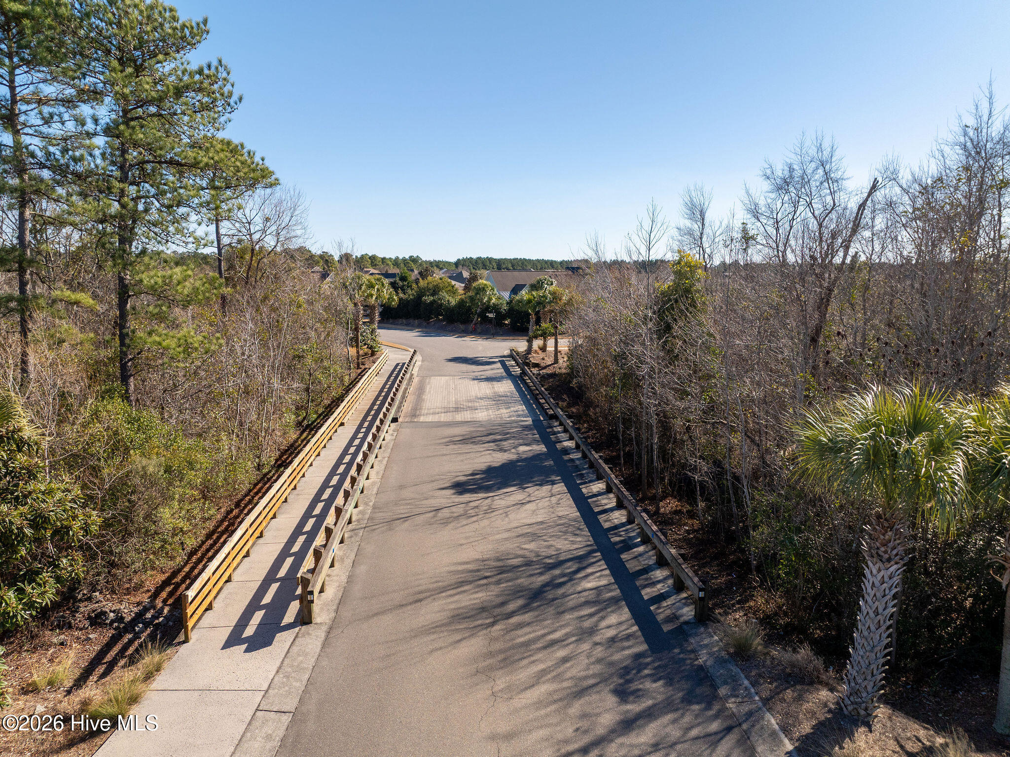 100552477 | Photo 43