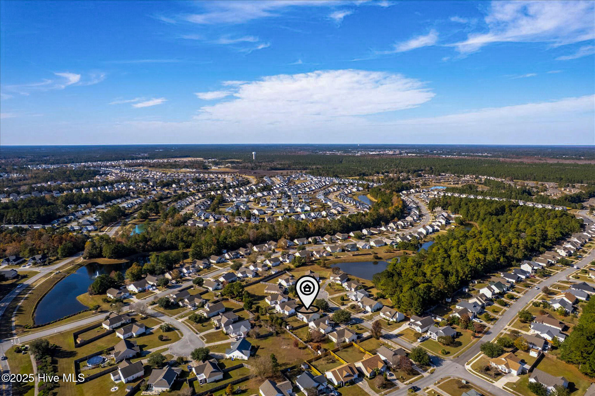 100542002 | Photo 31