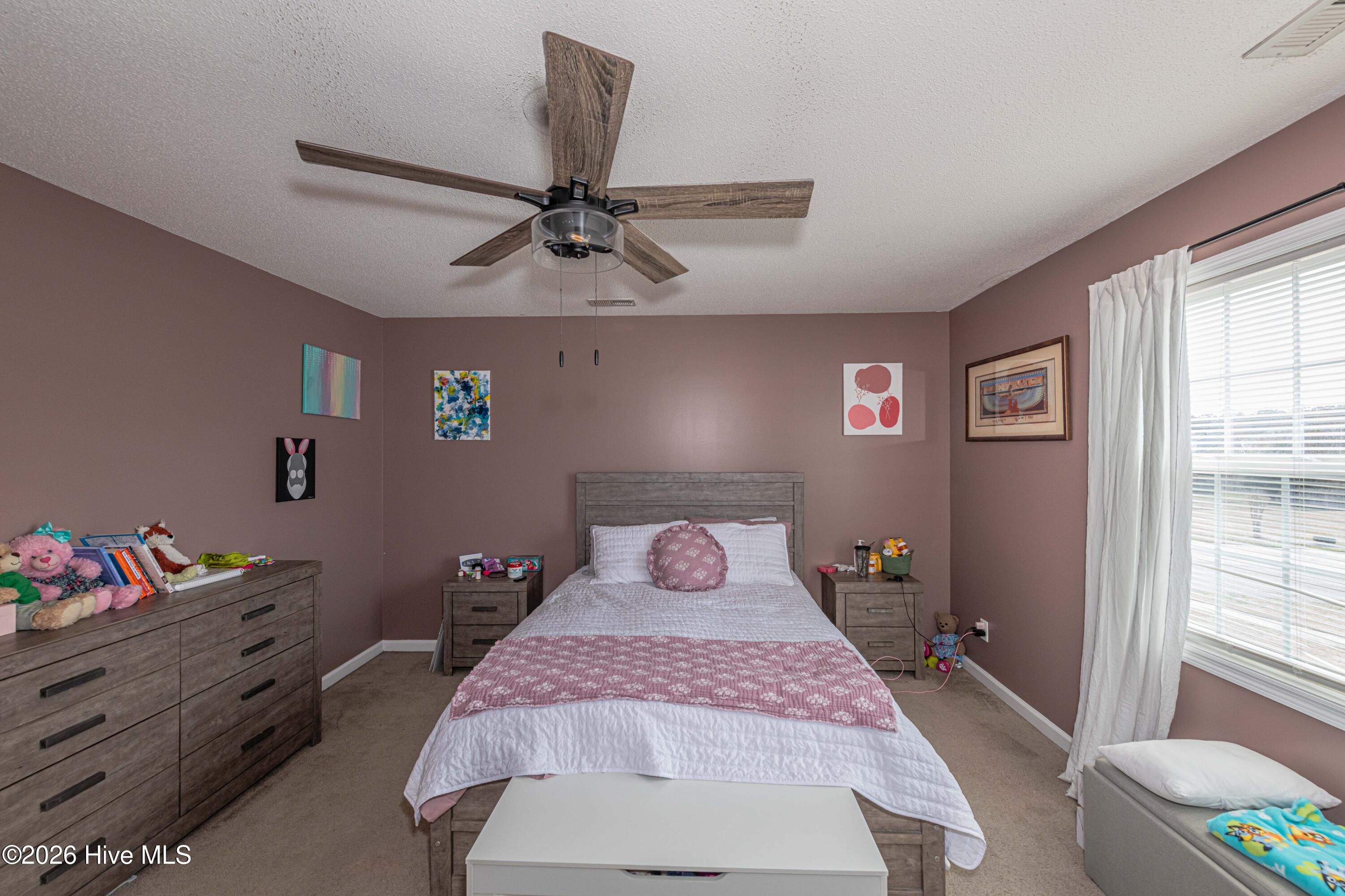 100558731 | Photo 19