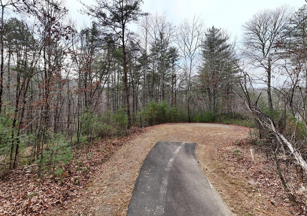 Exterior photo of N/A Trillium Heights, Hayesville, NC 28904. MLS: 98525266