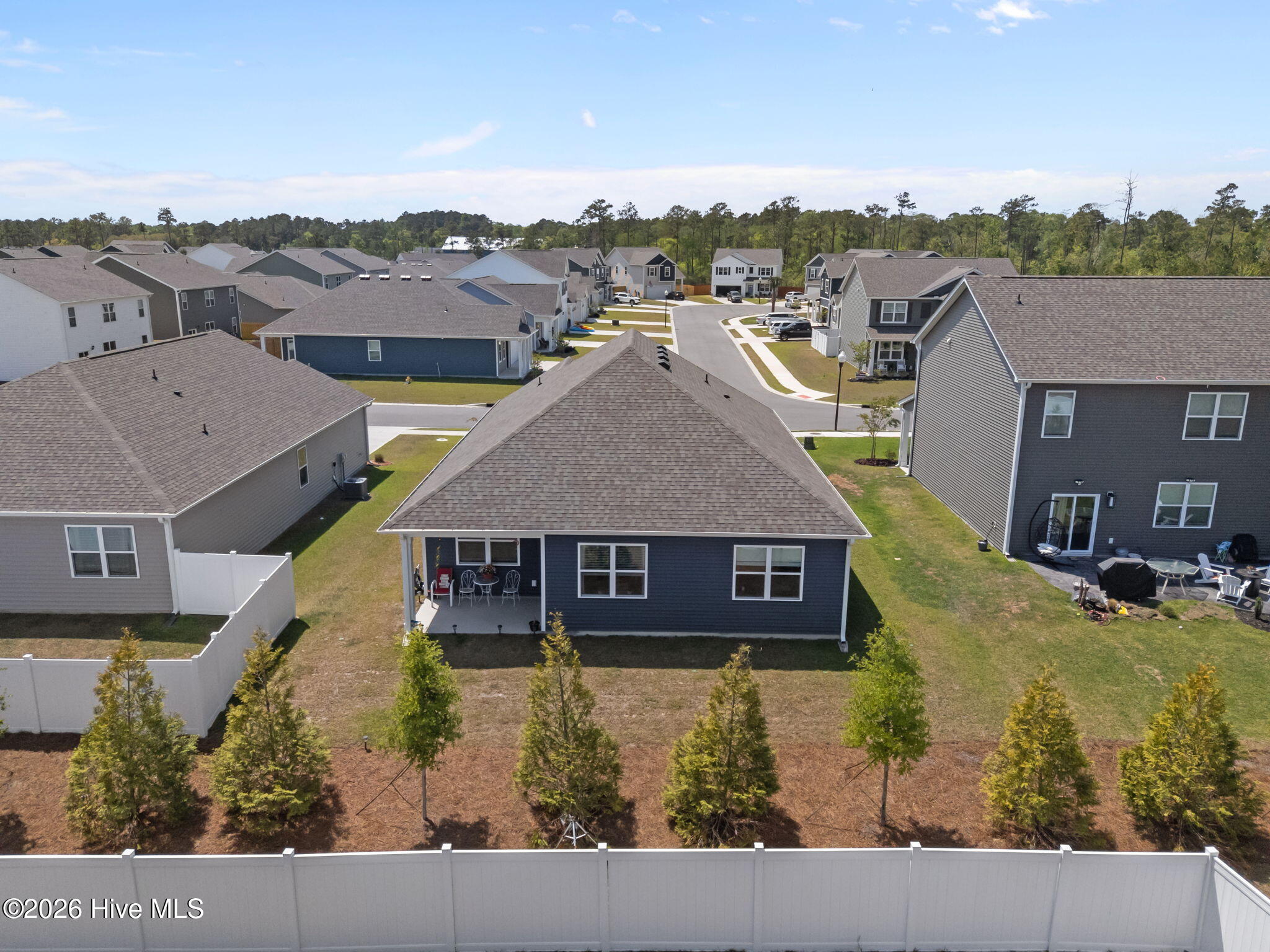 100567889 | Photo 50