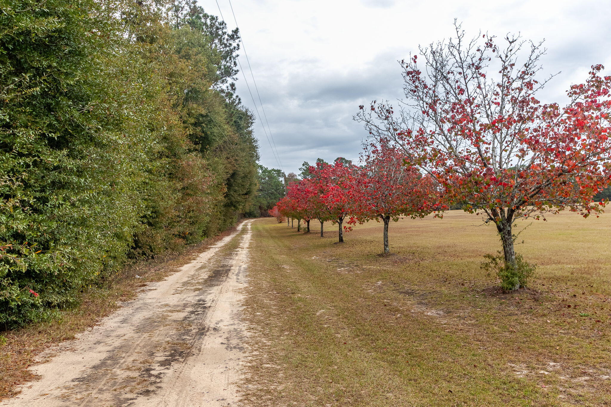 3-web-or-mls-915 BENNOCK MILL RD ©-1721