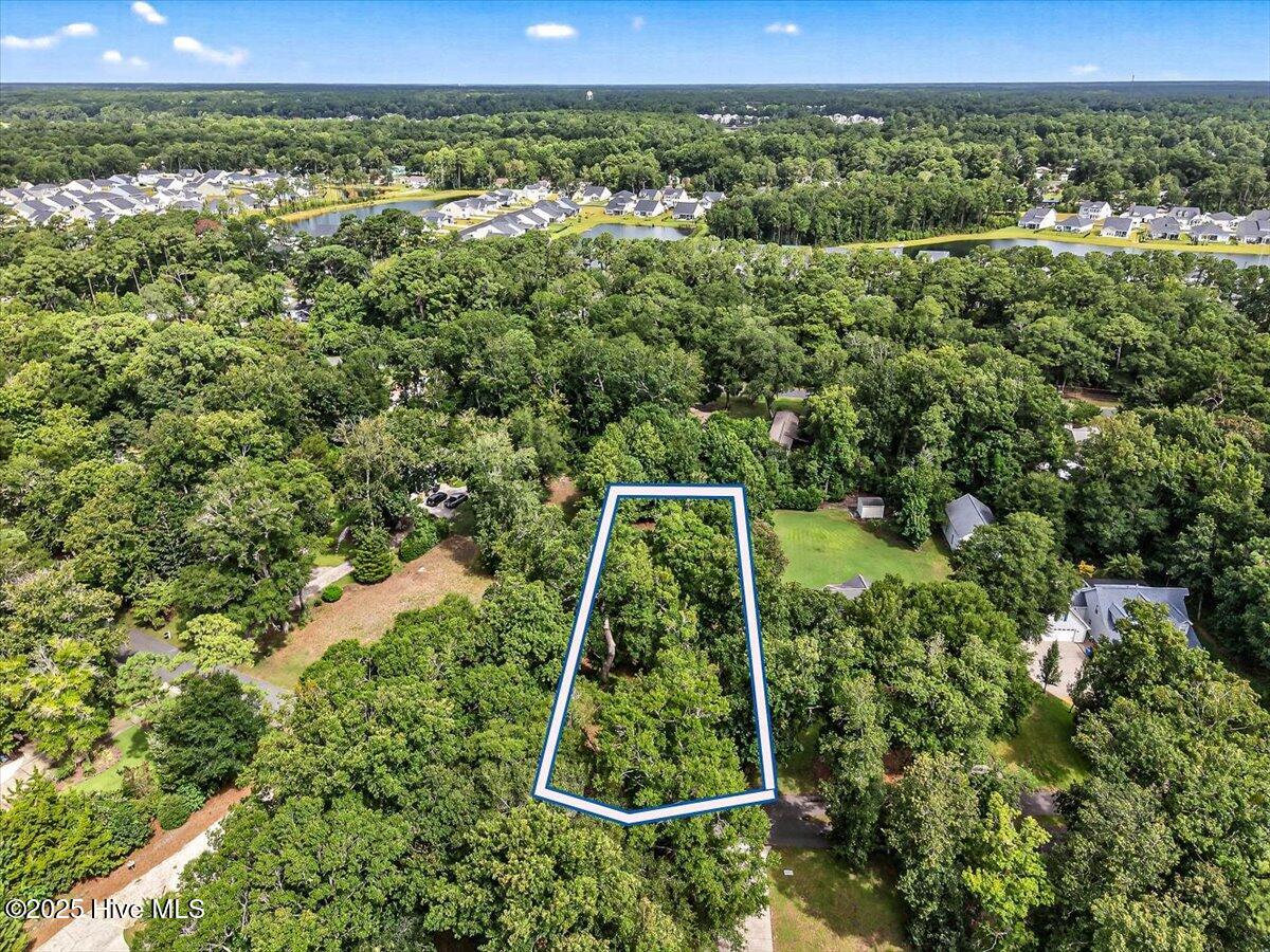 100481570 | Photo 11