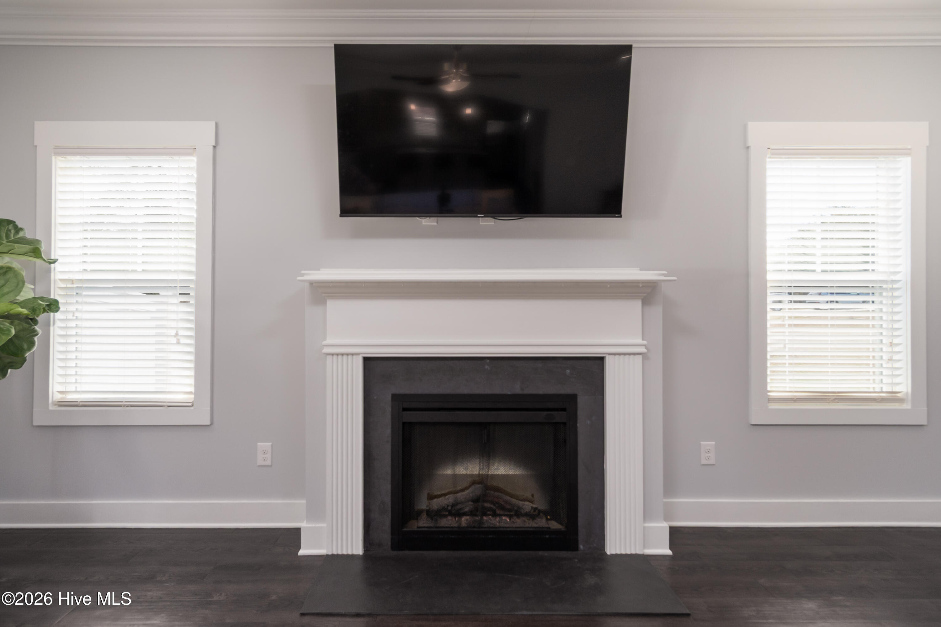 100558497 | Photo 25