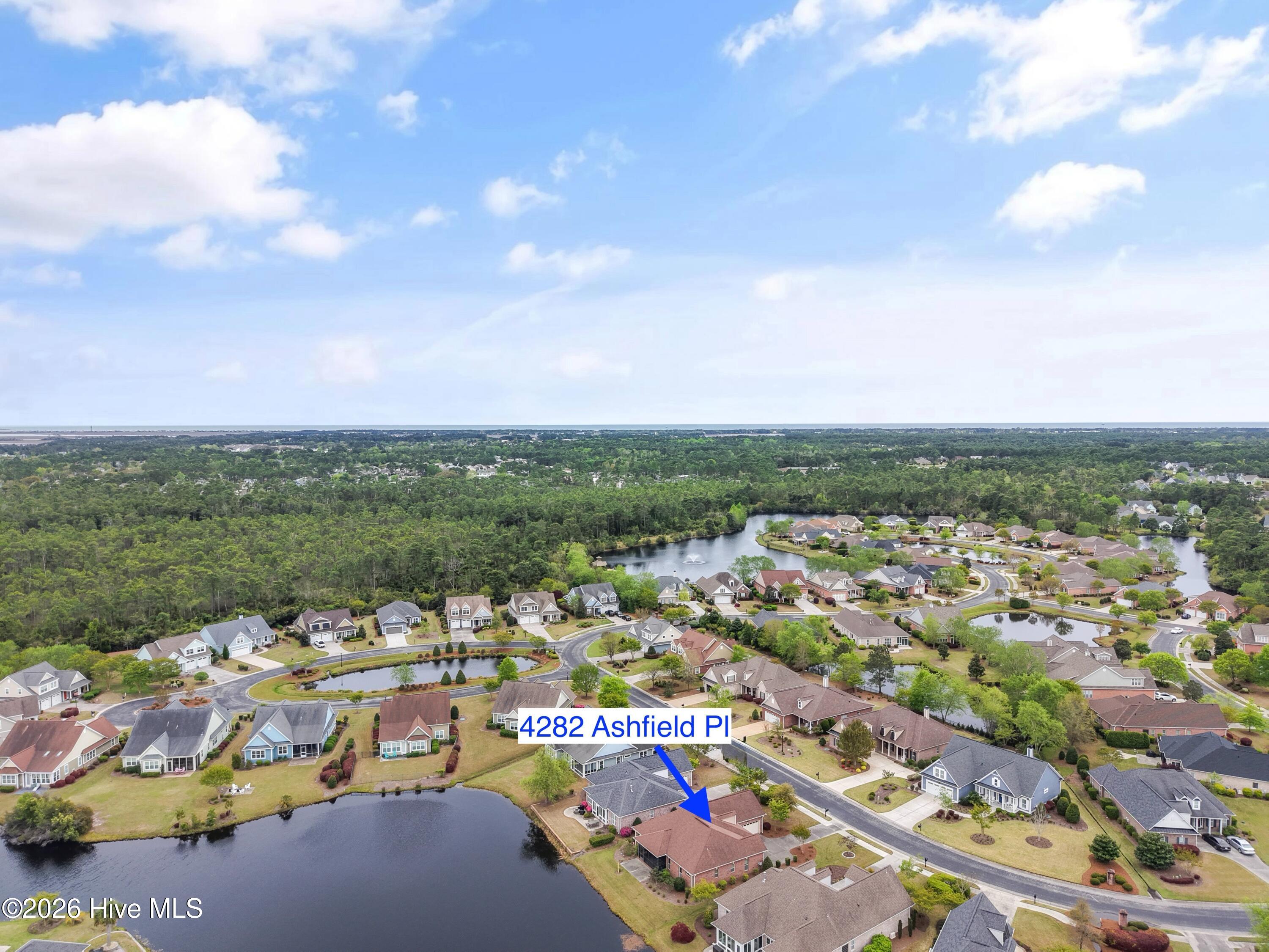 100565695 | Photo 37