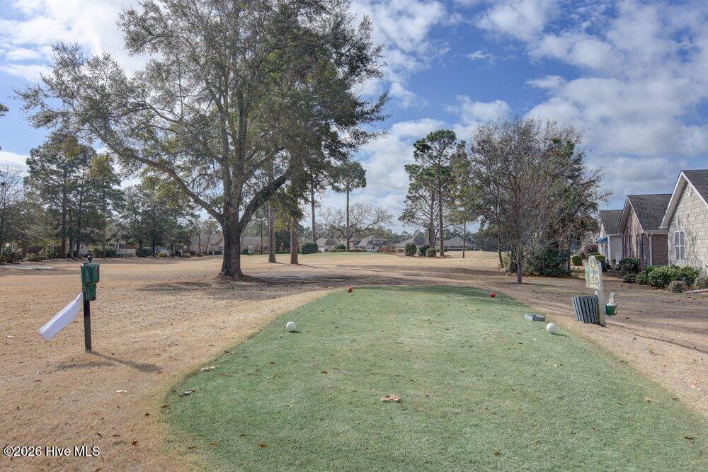 100558144 | Photo 31