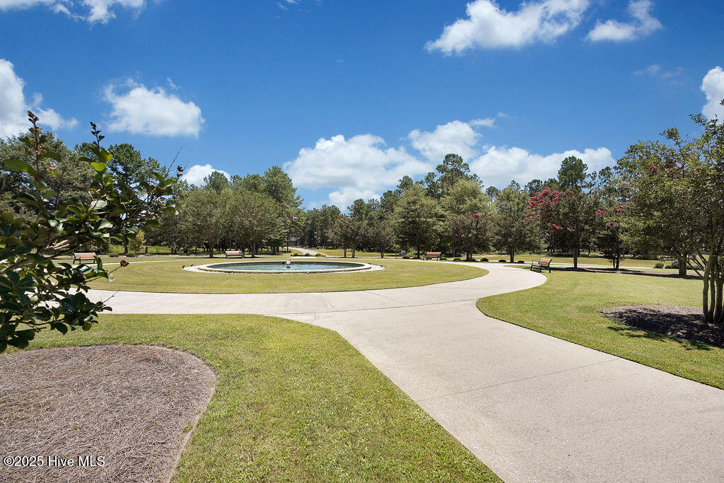 100542530 | Photo 60