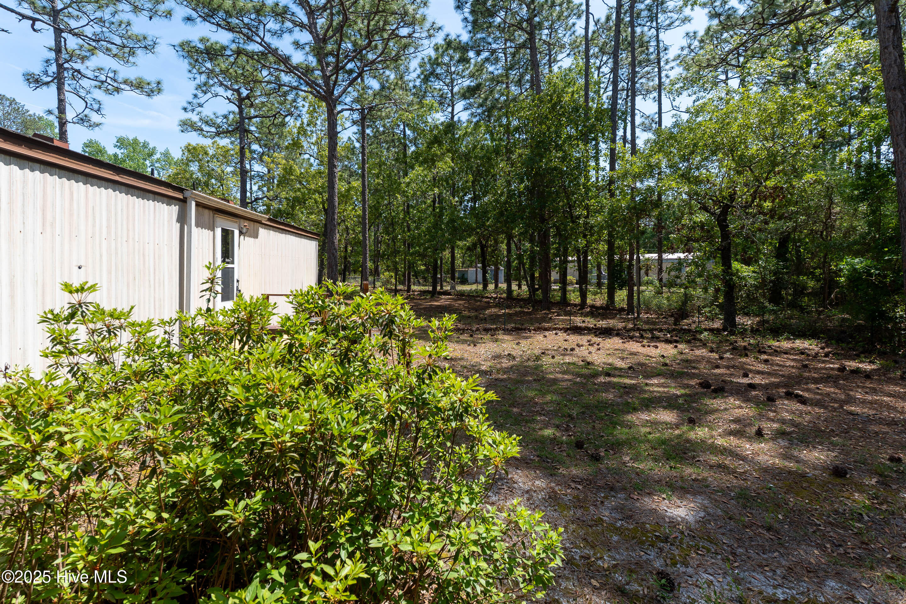 100540906 | Photo 25