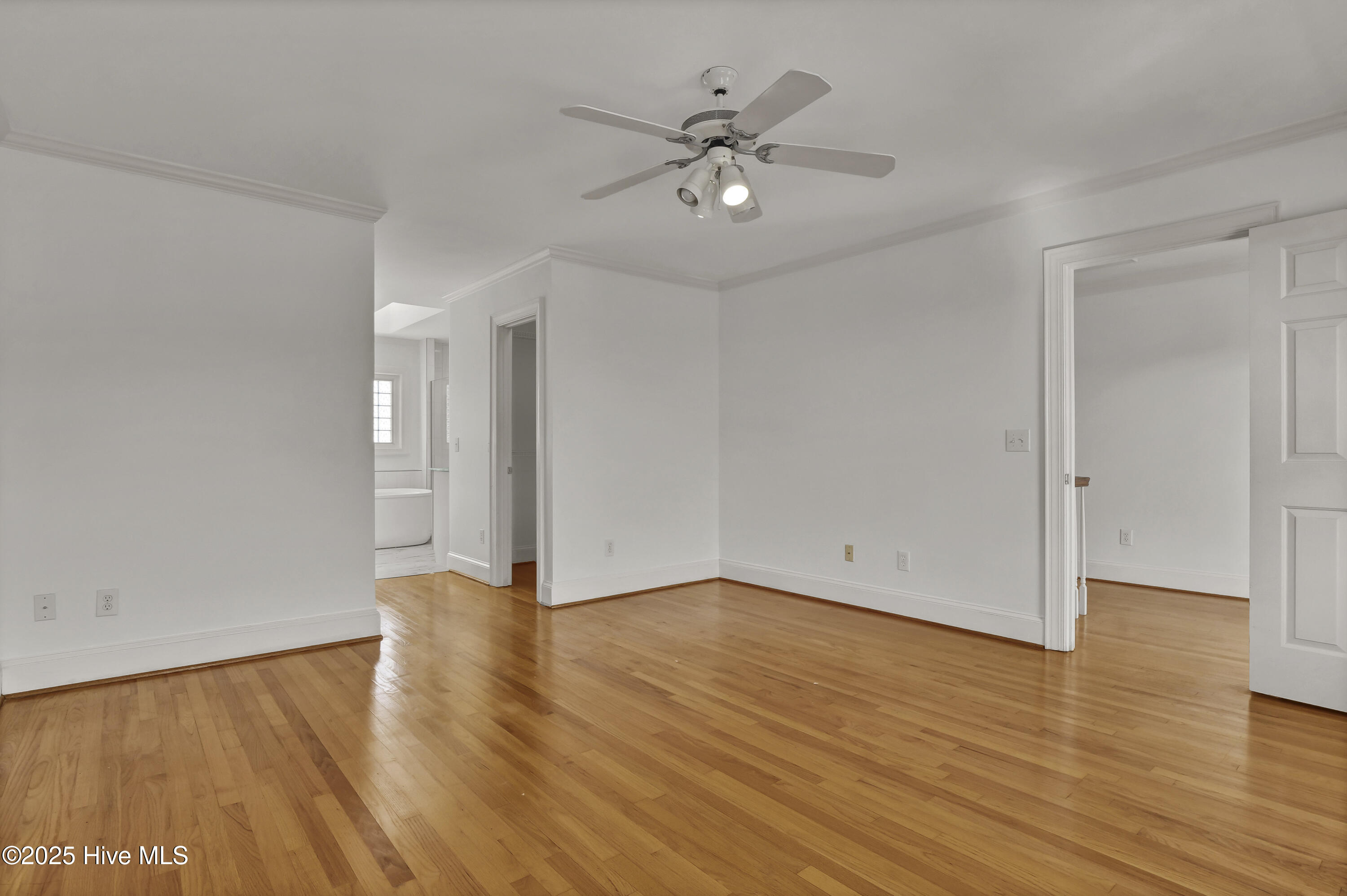 100540971 | Photo 32