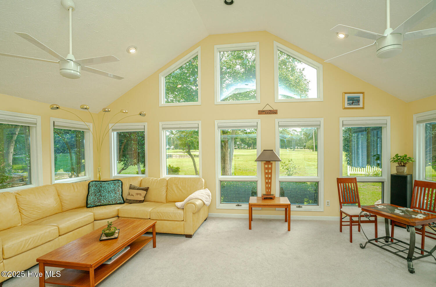 100524429 | Photo 20