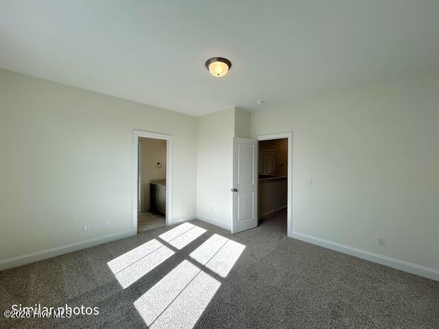 100535457 | Photo 59