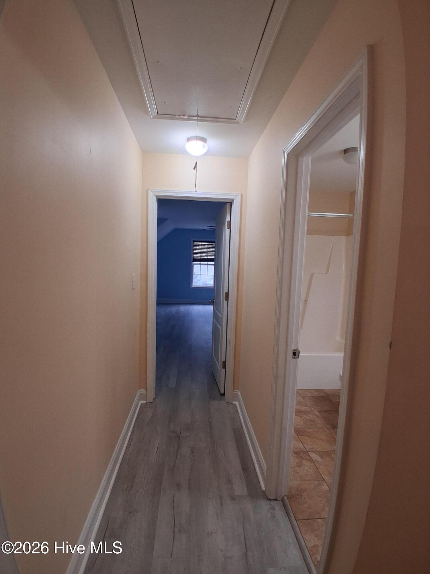 100504331 | Photo 39