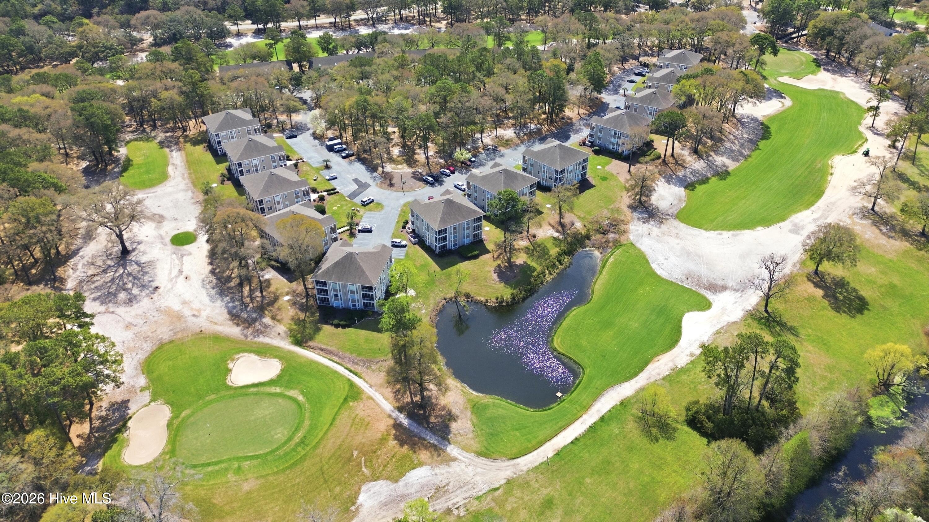 100561892 | Photo 51