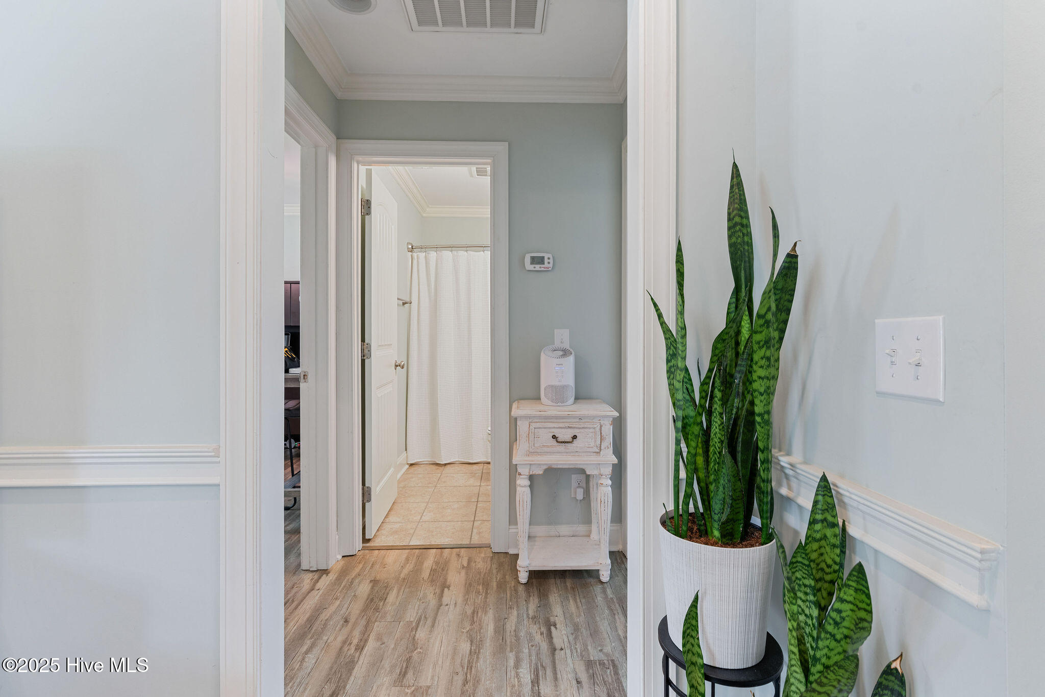 100517847 | Photo 19