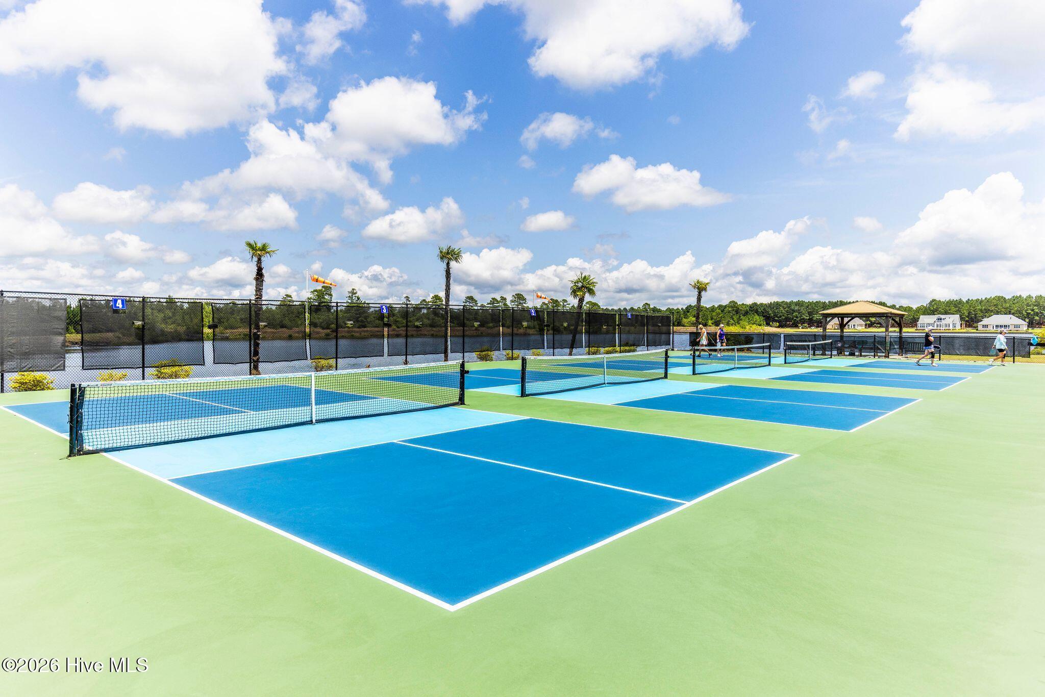 100566081 | Photo 50