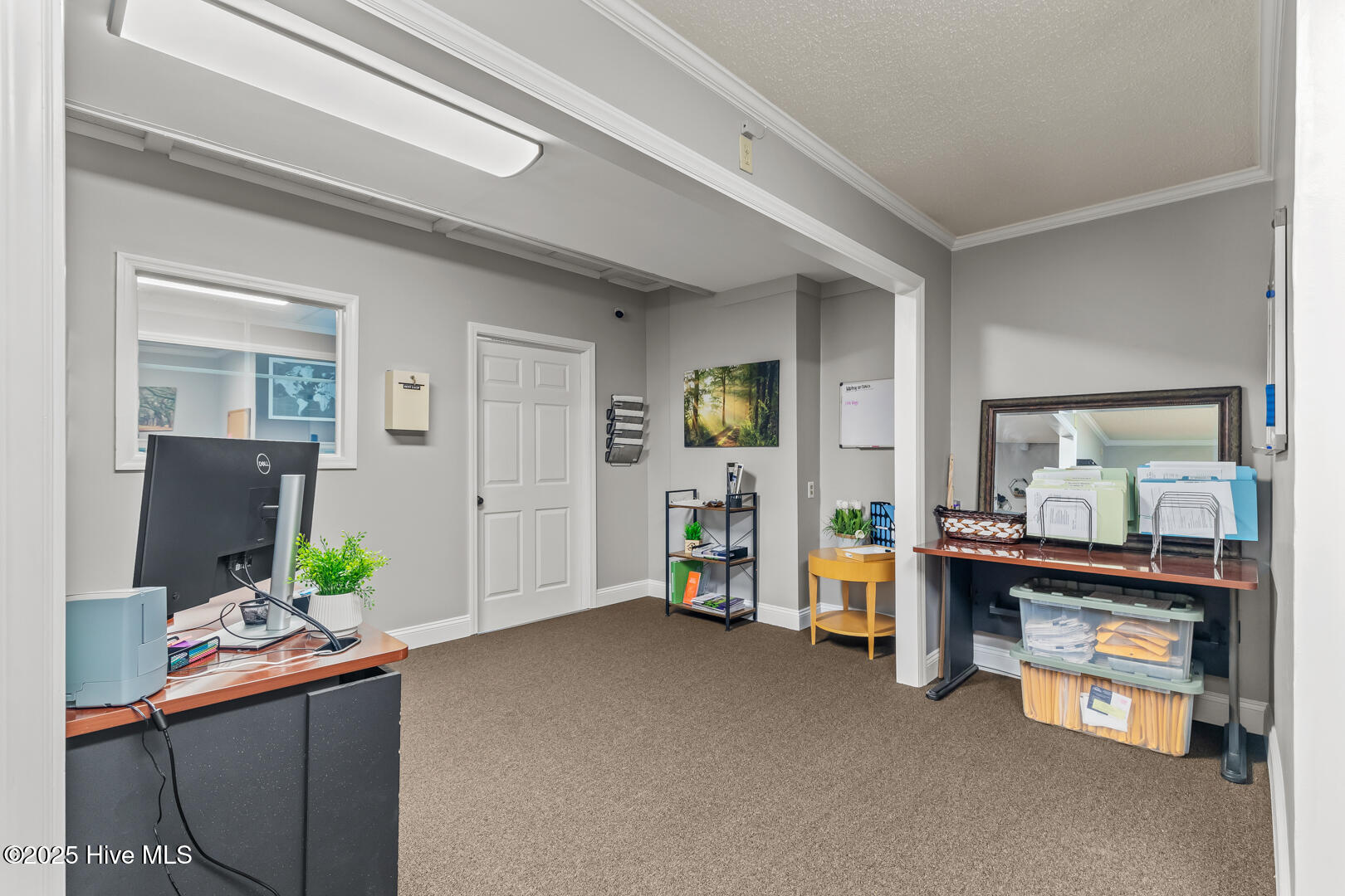 1923 Lejeune Boulevard, Jacksonville, NC, 28546