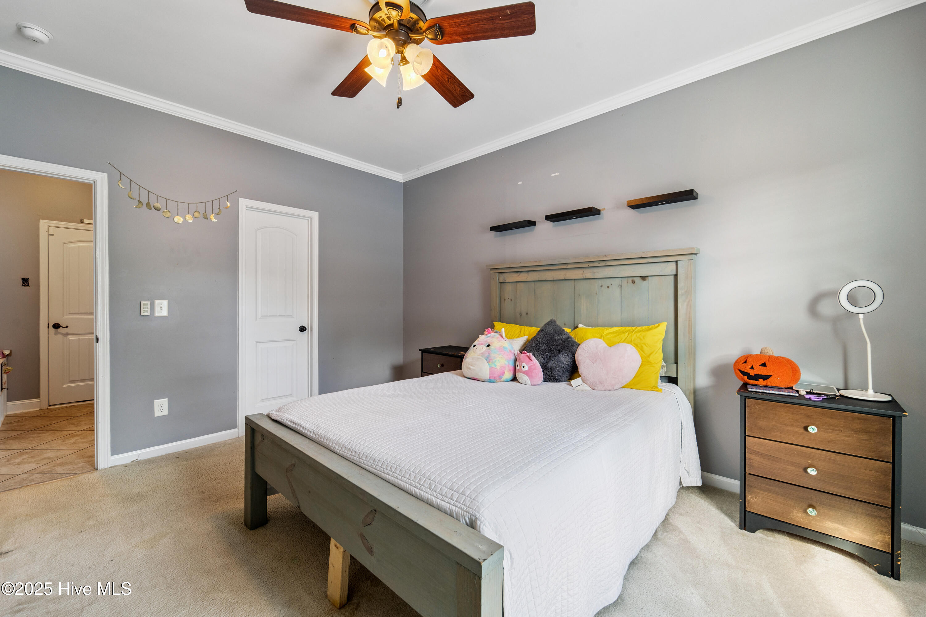 100516932 | Photo 39