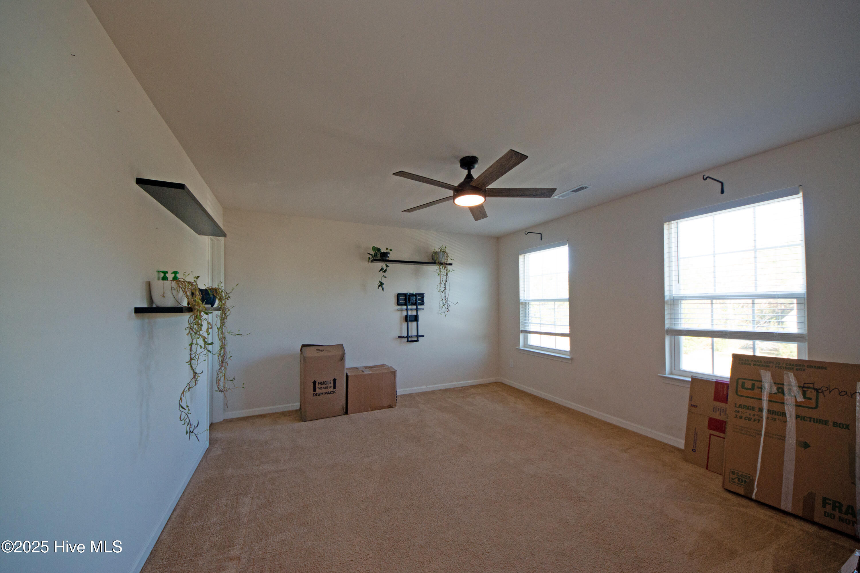 100542211 | Photo 41