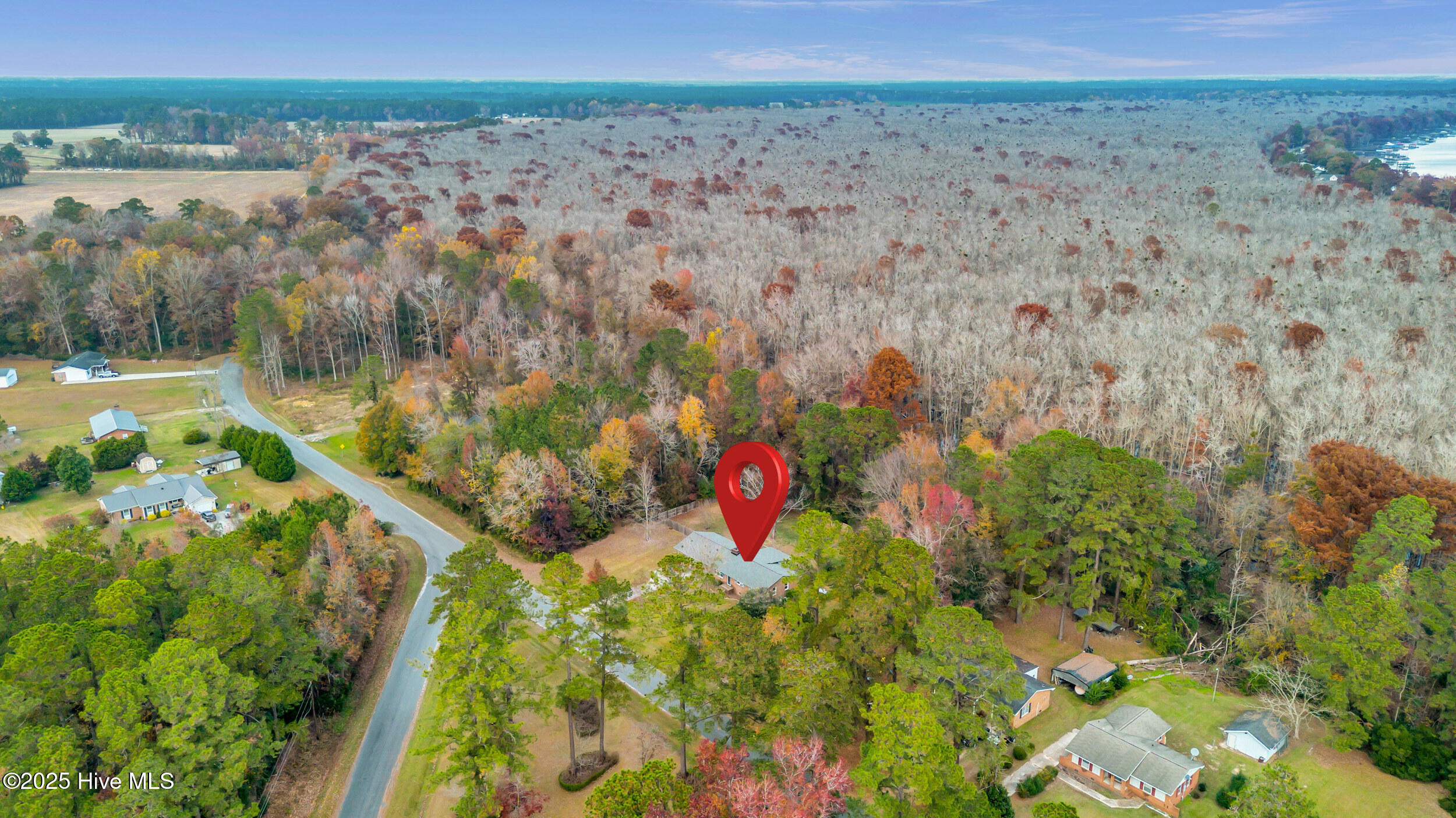 100543256 | Photo 44