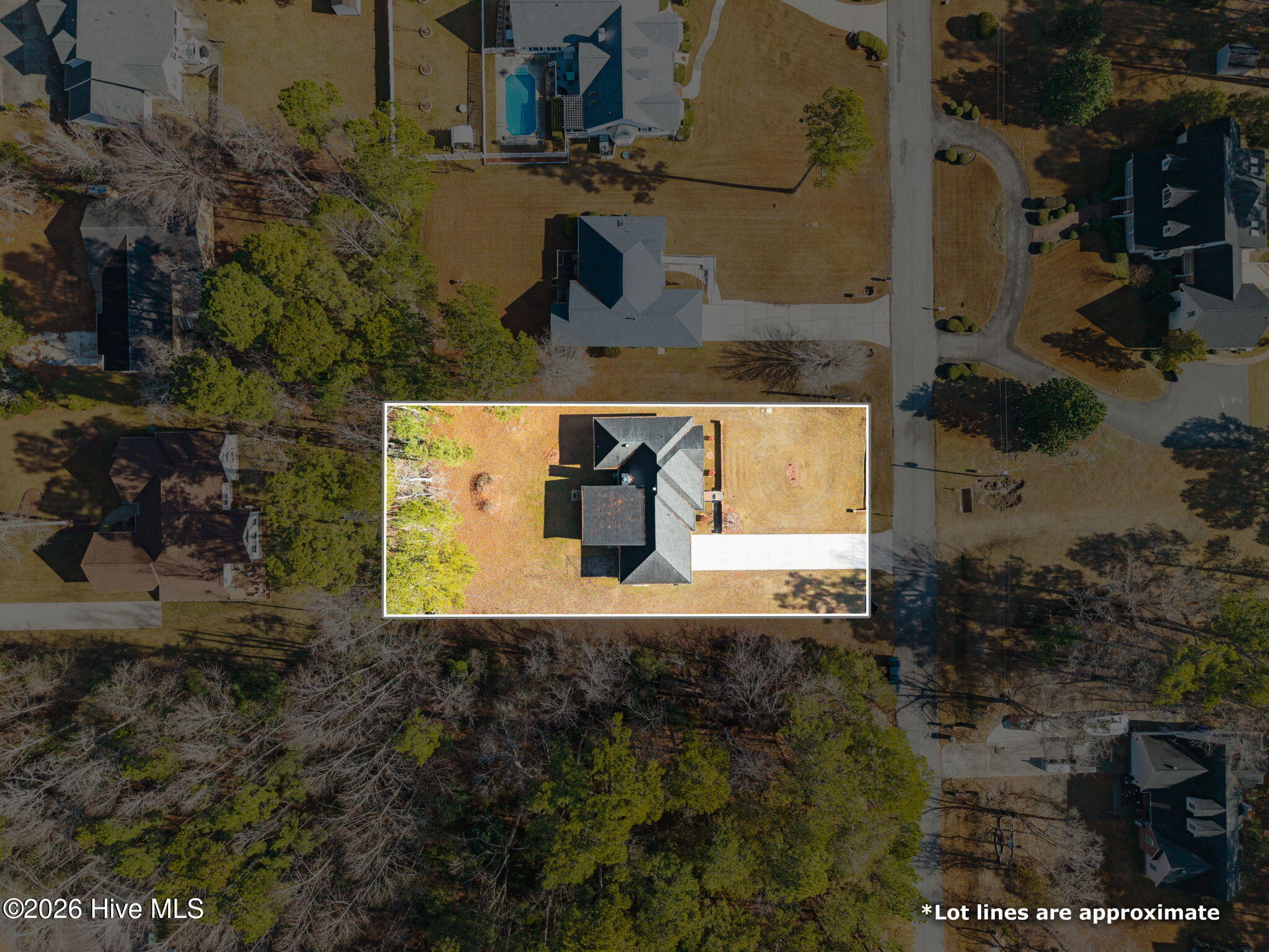 100548556 | Photo 35