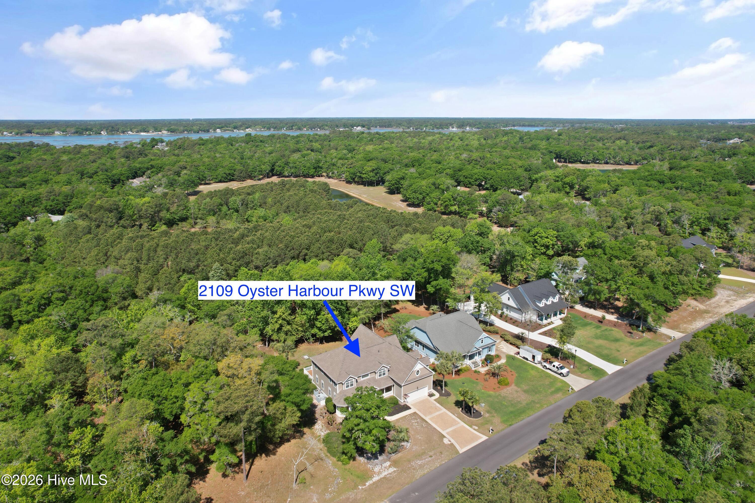 100568662 | Photo 59