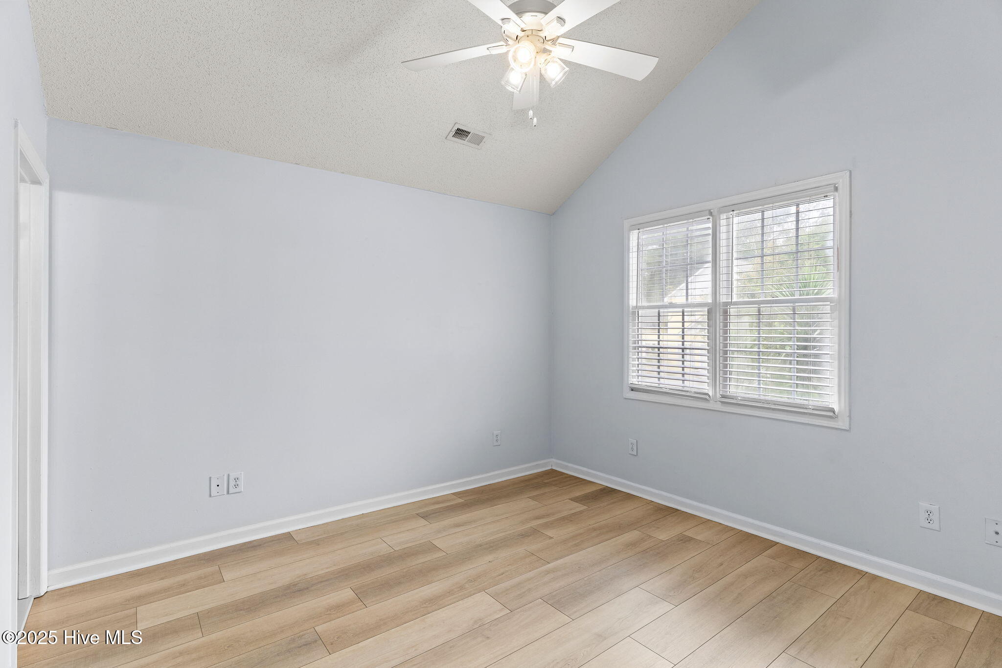 100534947 | Photo 16