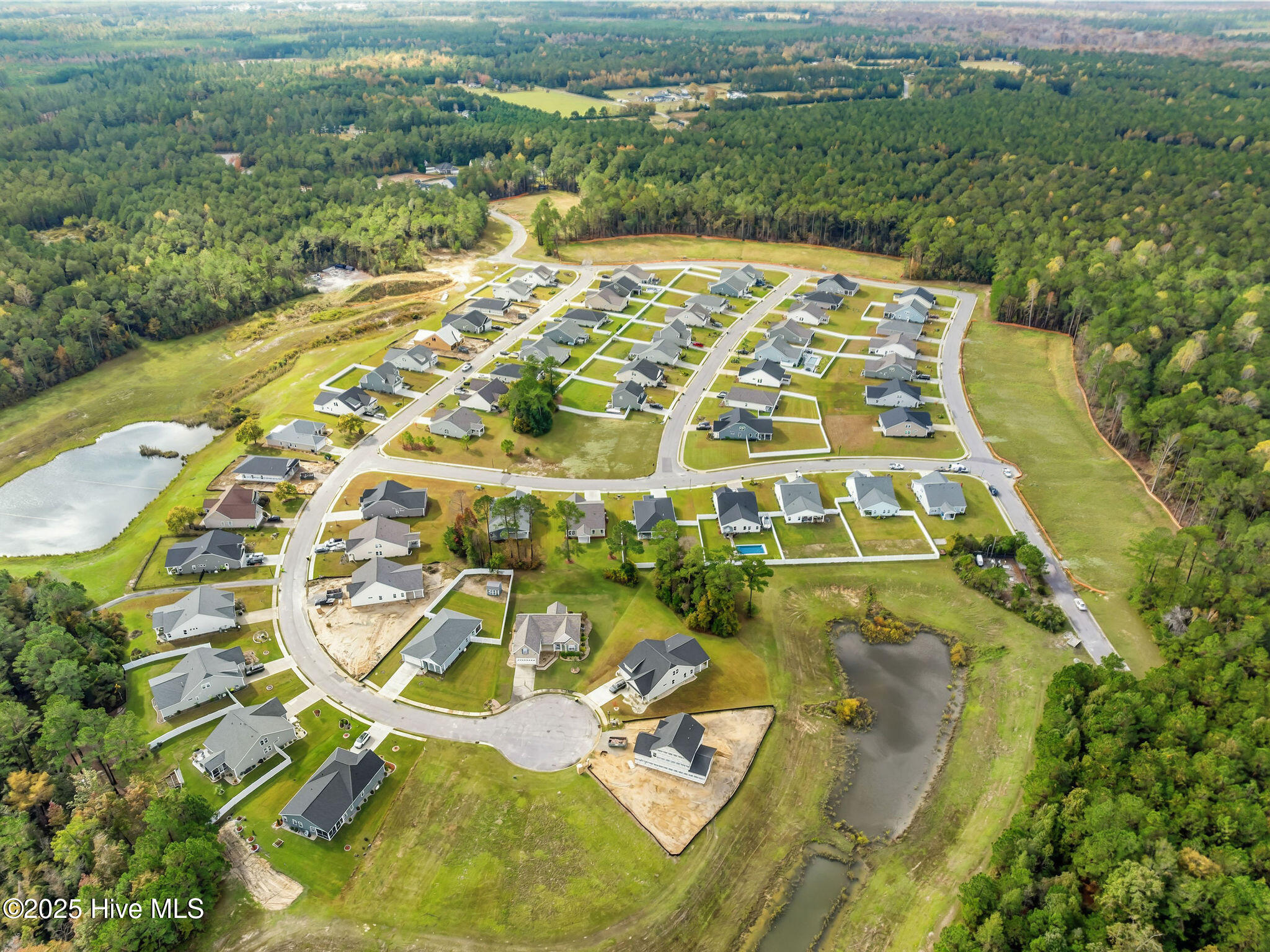 100542569 | Photo 48