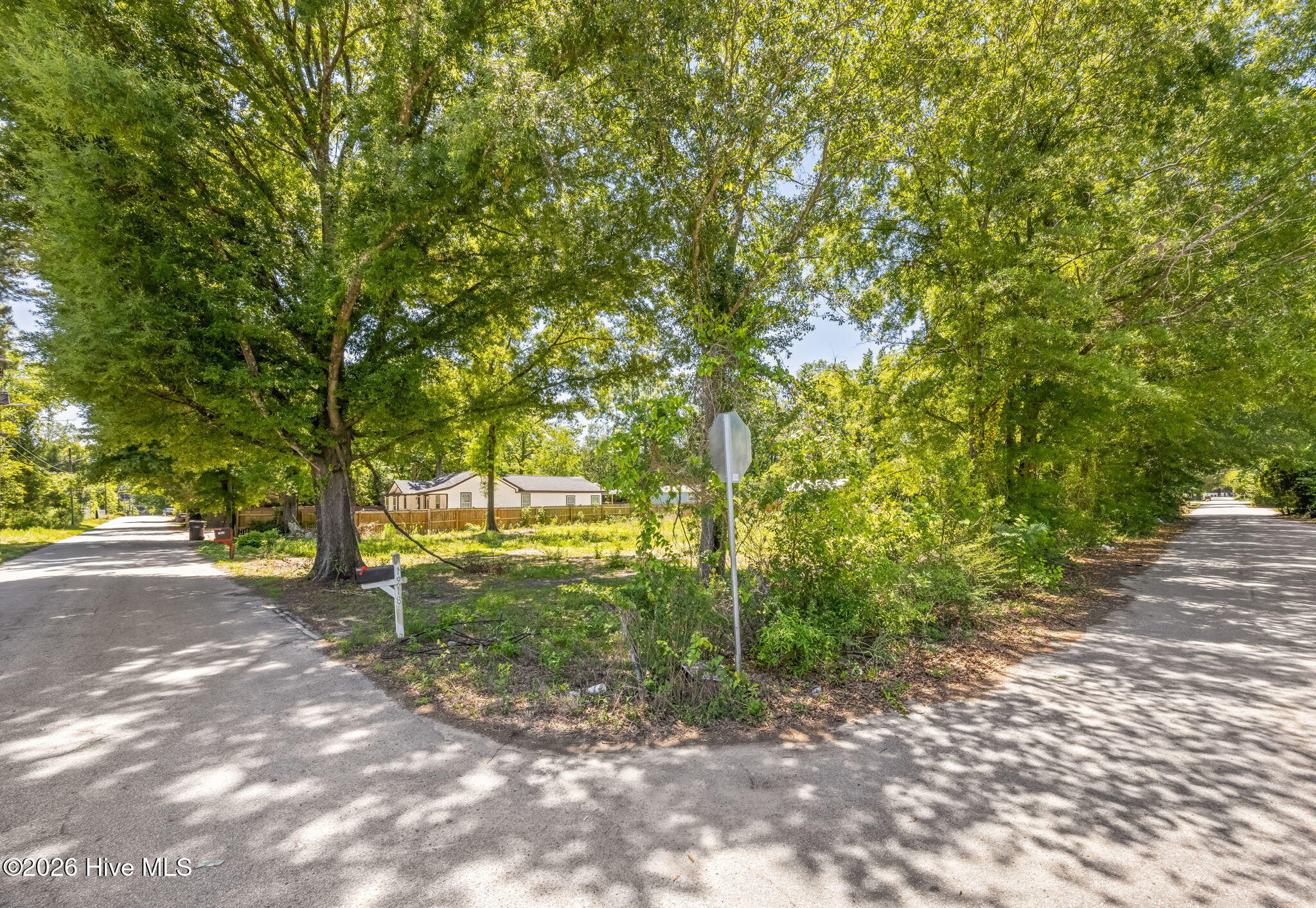 49-web-or-mls-1917 Haynie Drive-3
