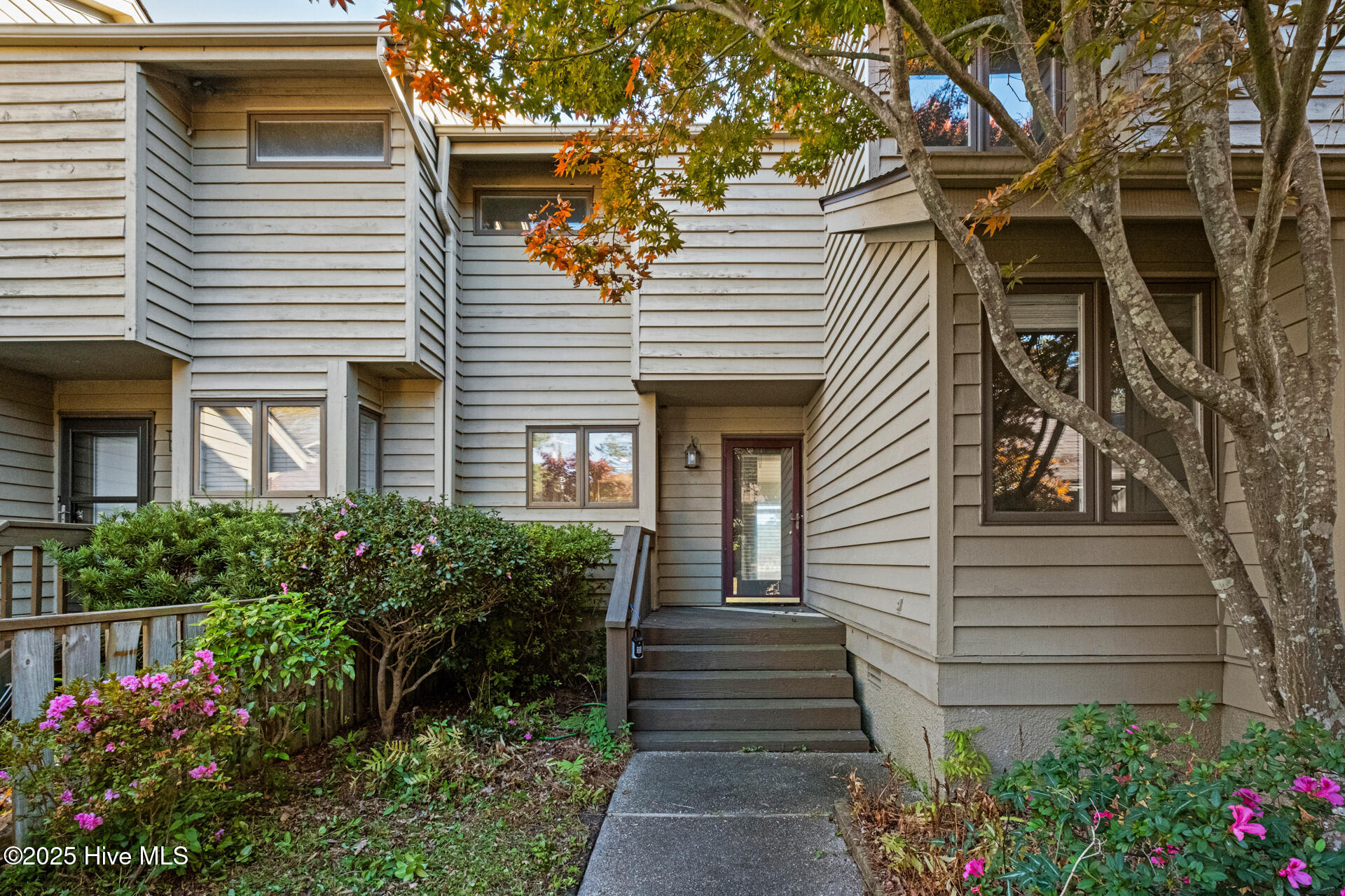 100526390 | Photo 50