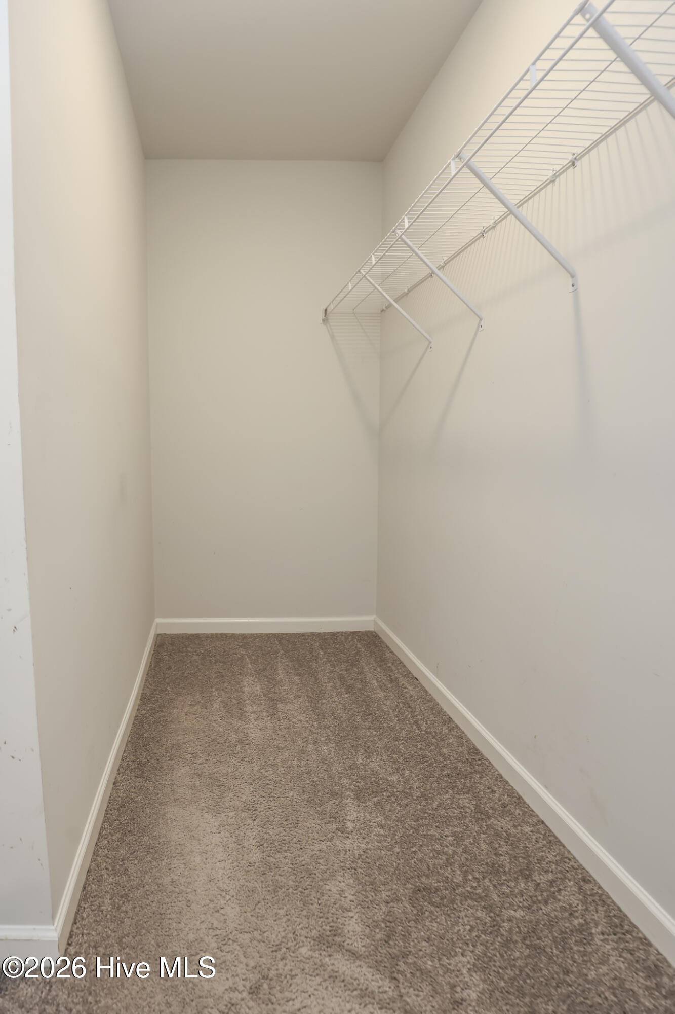 100548546 | Photo 14