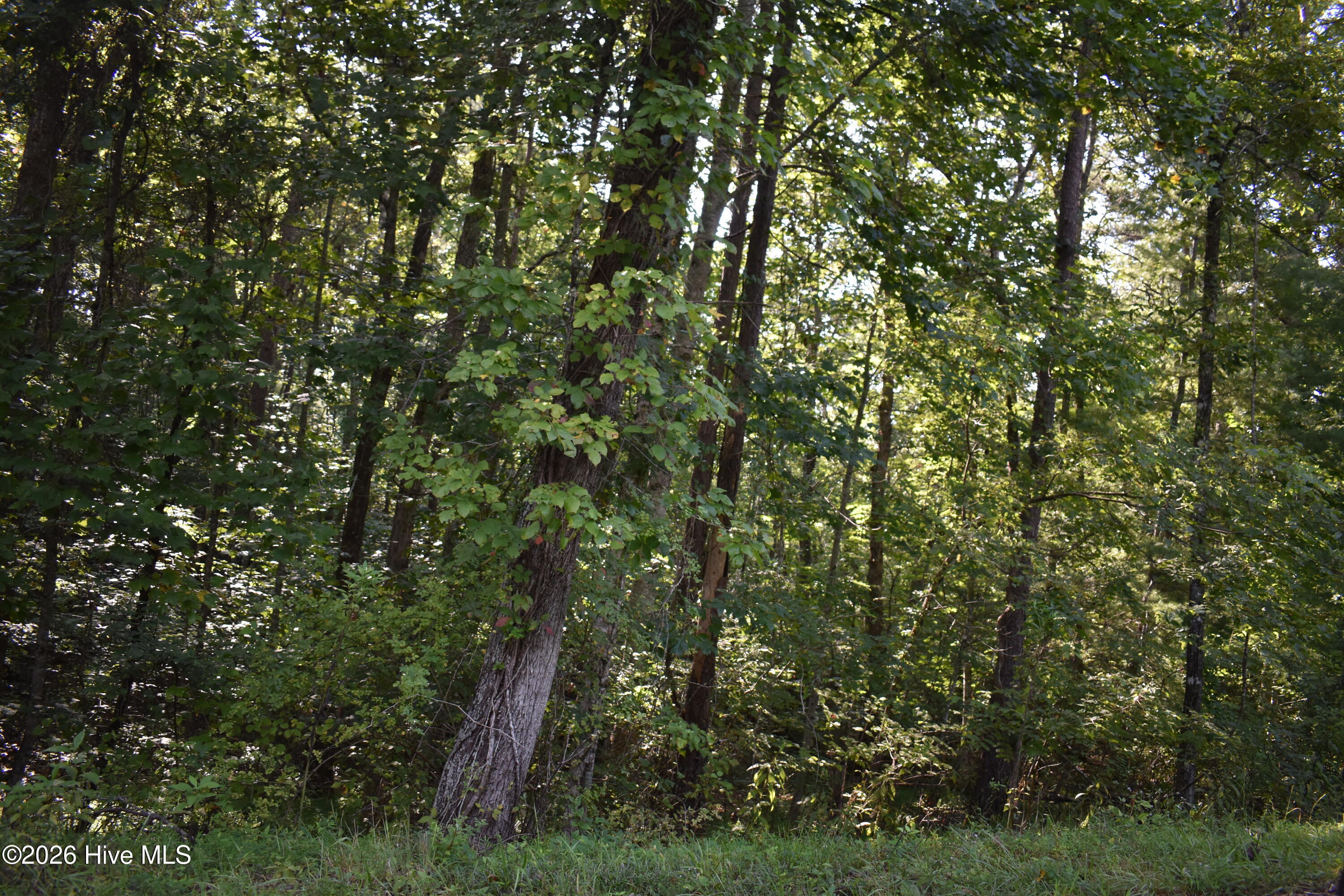 Photo 4 of Land for sale at Lot 31 Ranger Rd, Murphy, NC 28906 | MLS# 100601607 | Listing updated on 2026-09-04