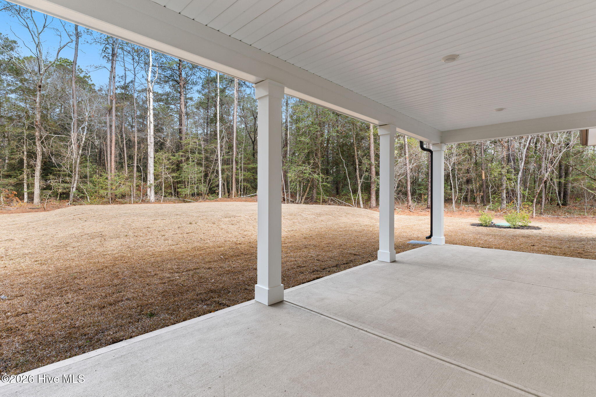 100557701 | Photo 56