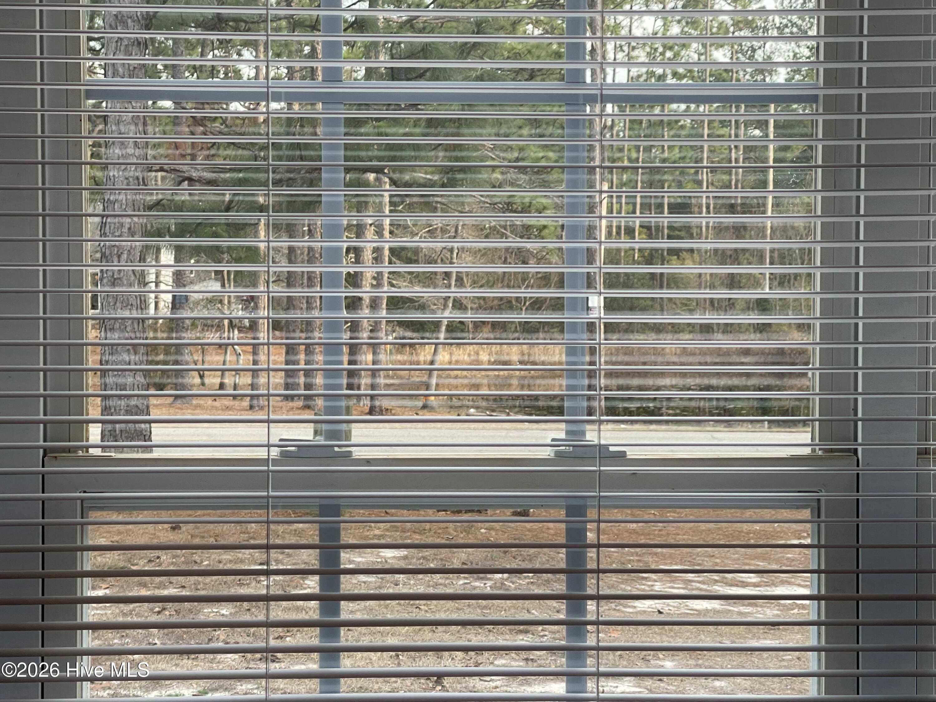 100548174 | Photo 28