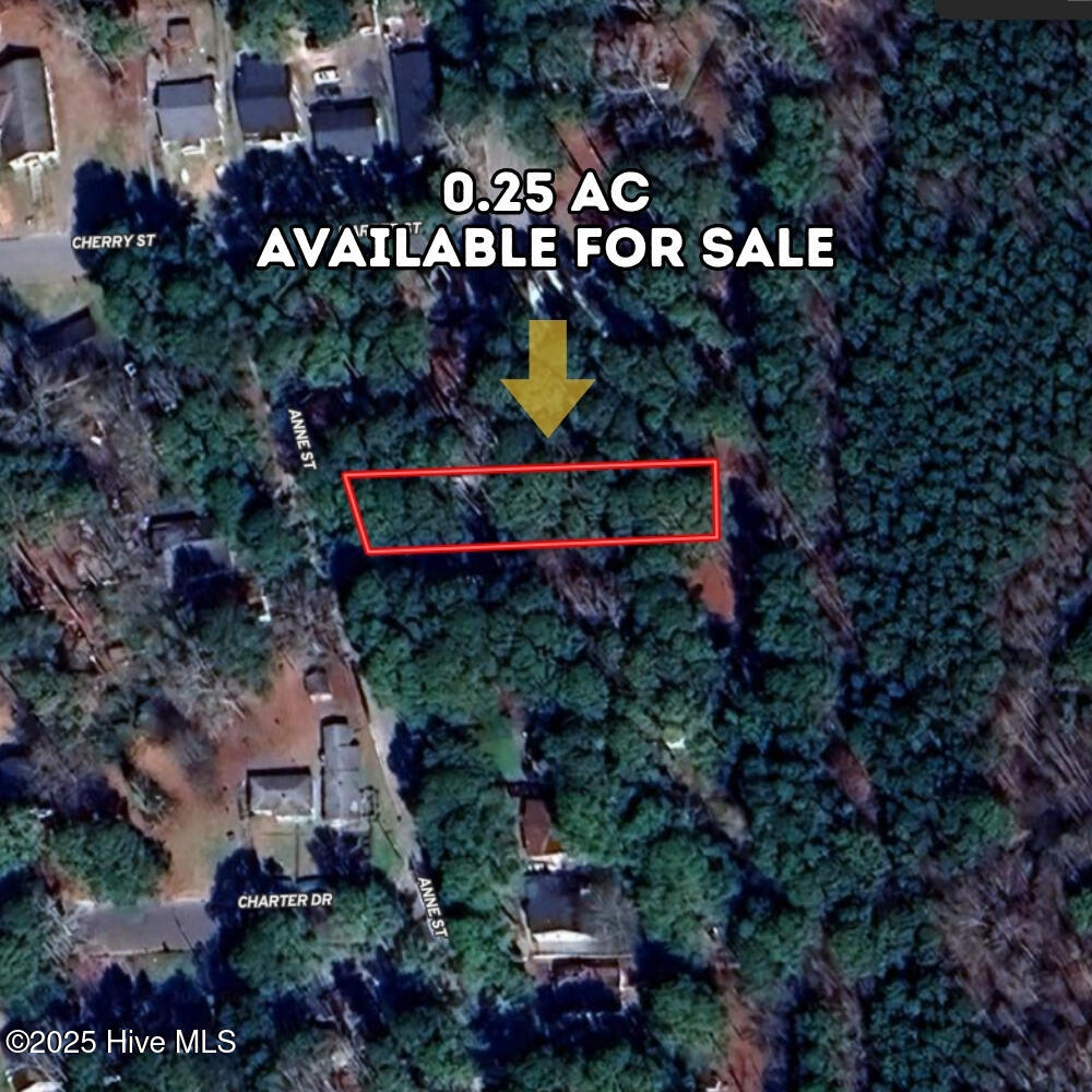 3_photo-1319-anne-street