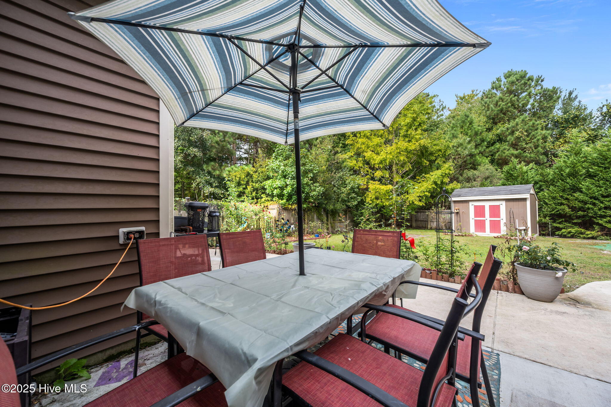 100535491 | Photo 37