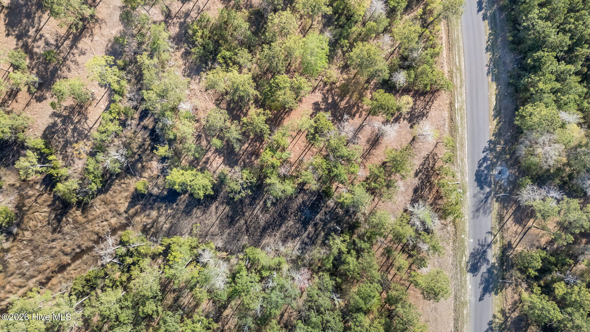 128 32 Shell Castle Lane,Vandemere