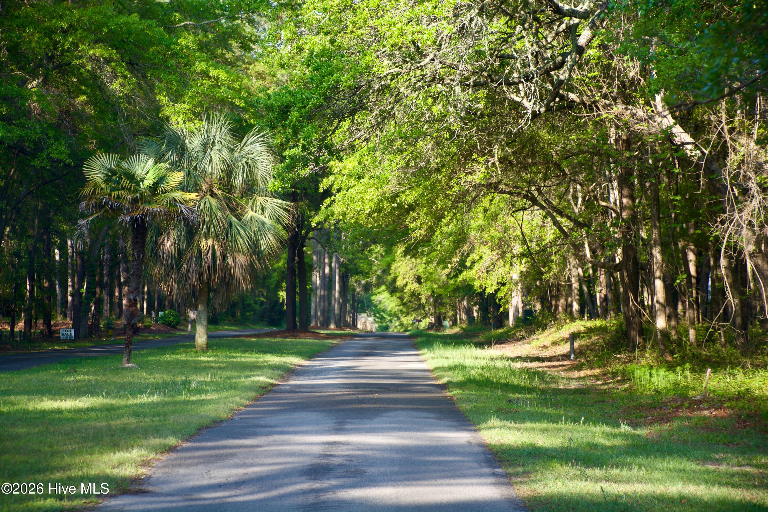 100558493 | Photo 17