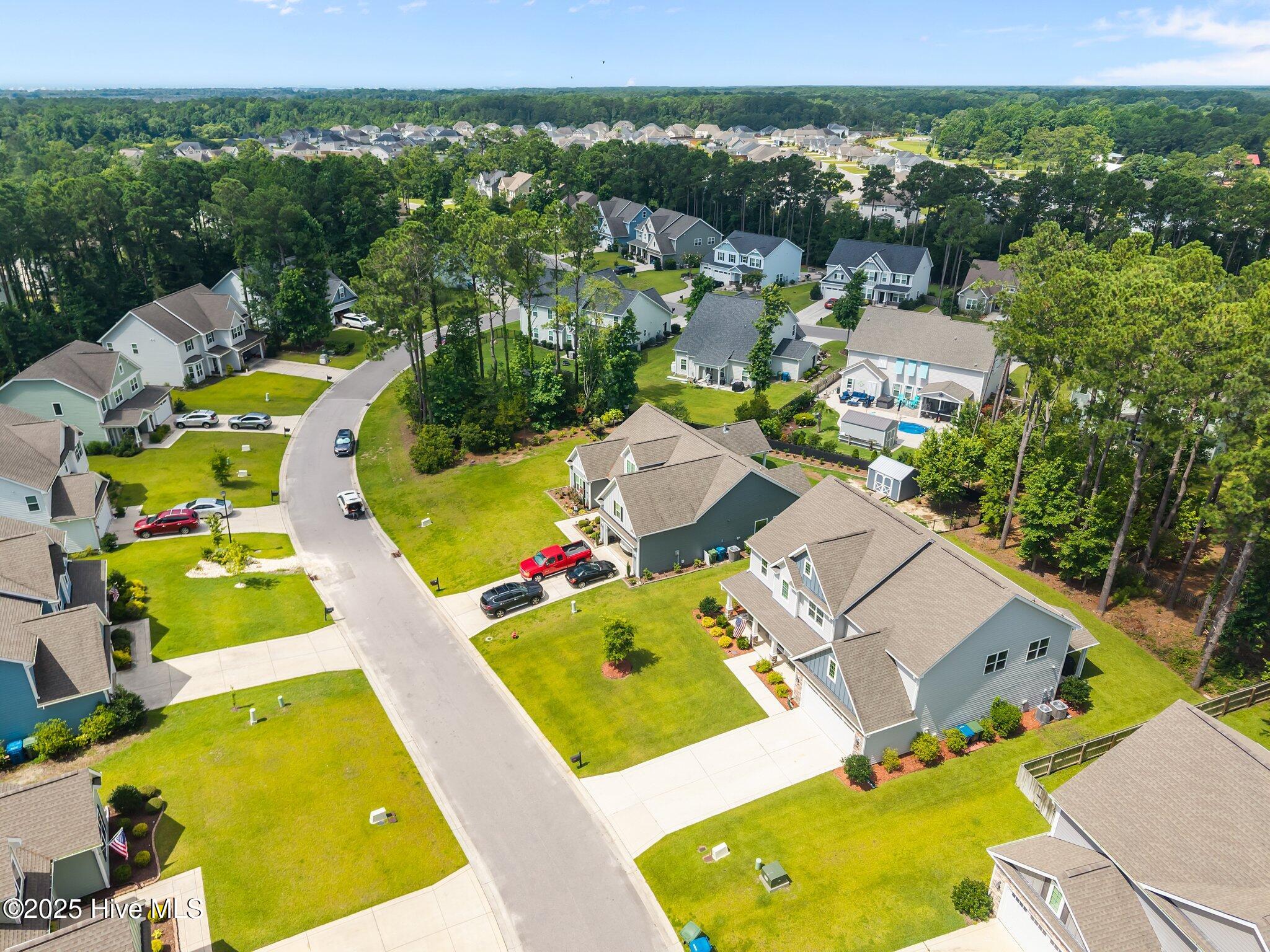 100518510 | Photo 59