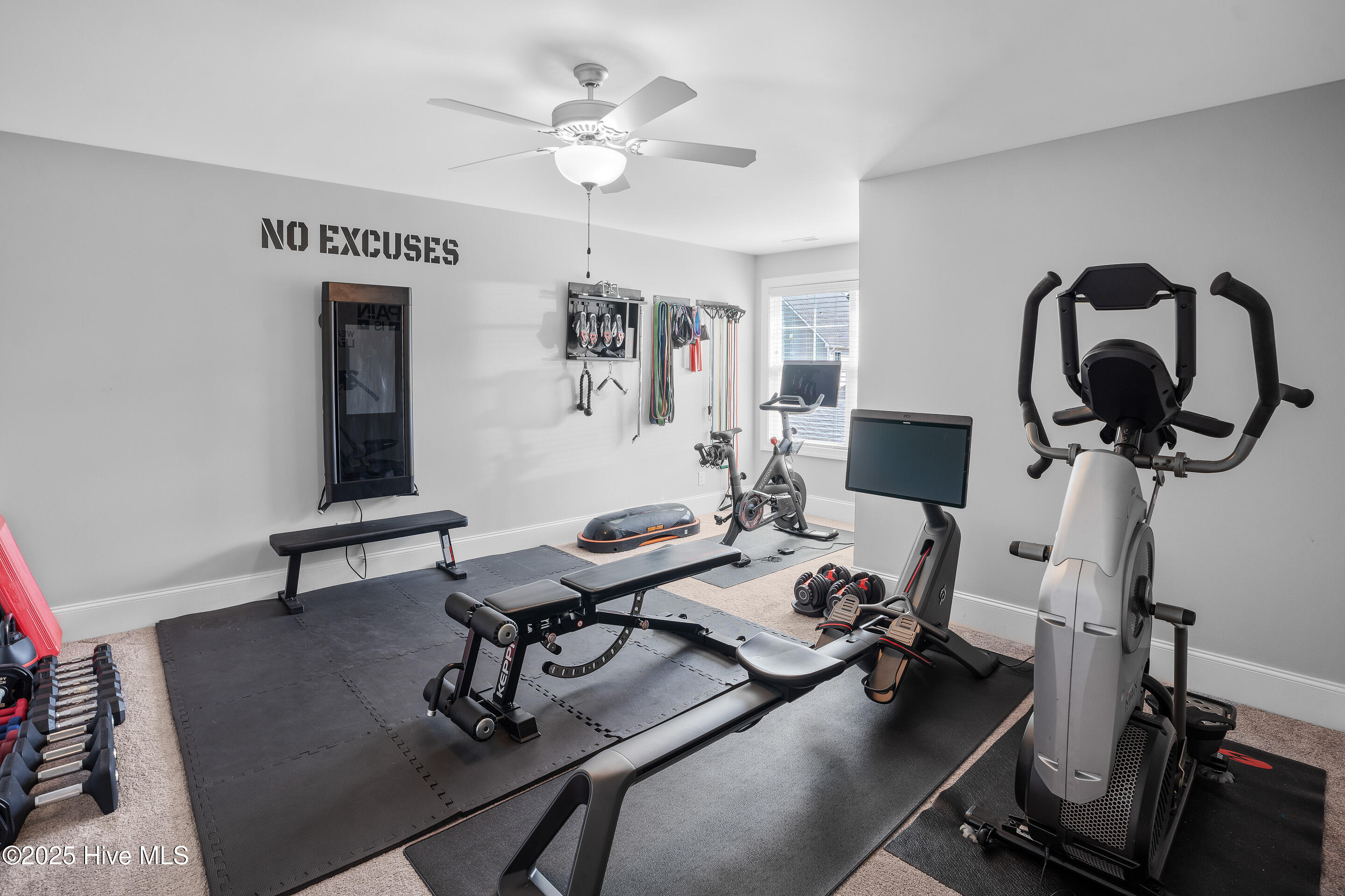 100520061 | Photo 33