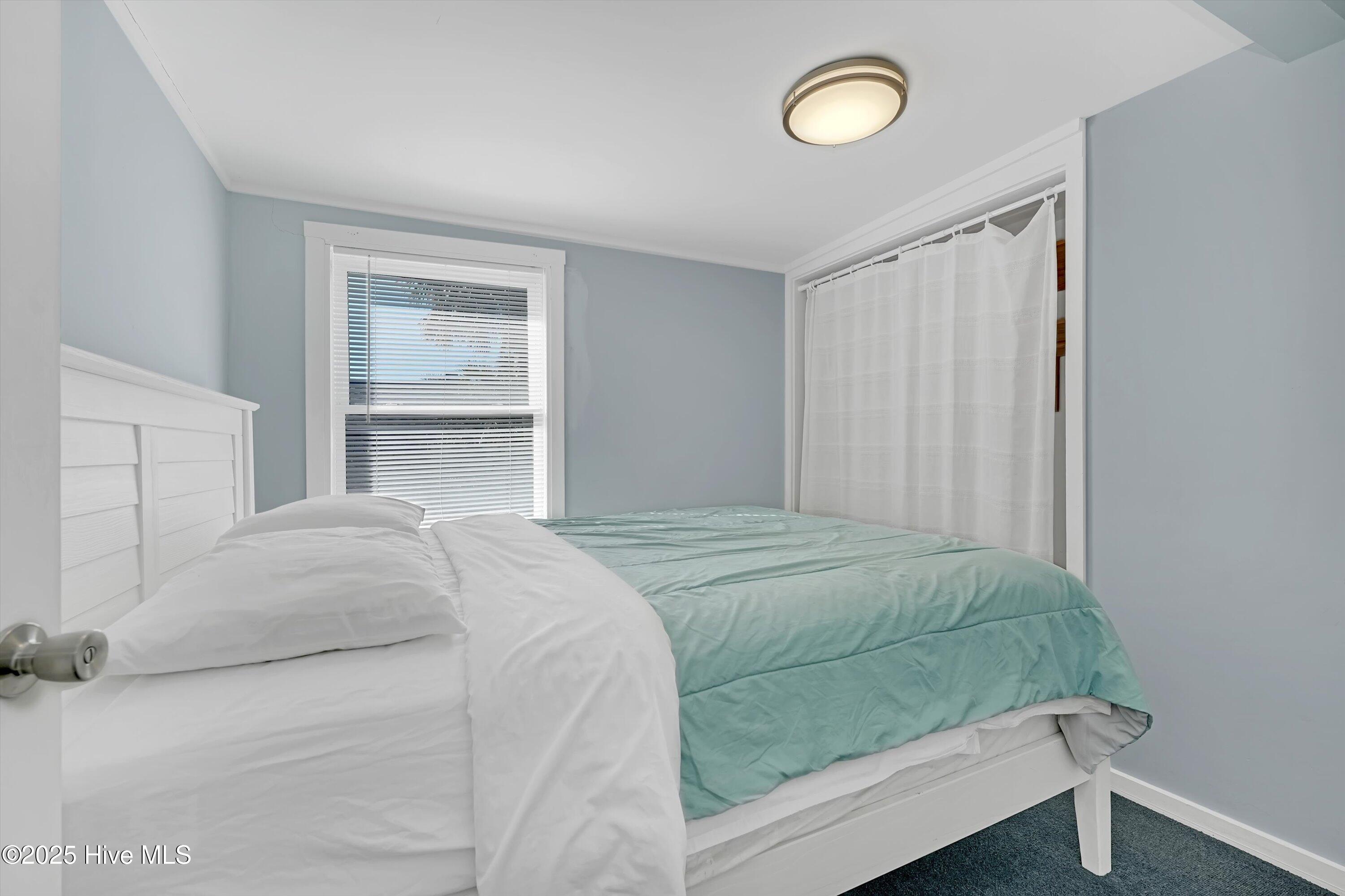 100486207 | Photo 50