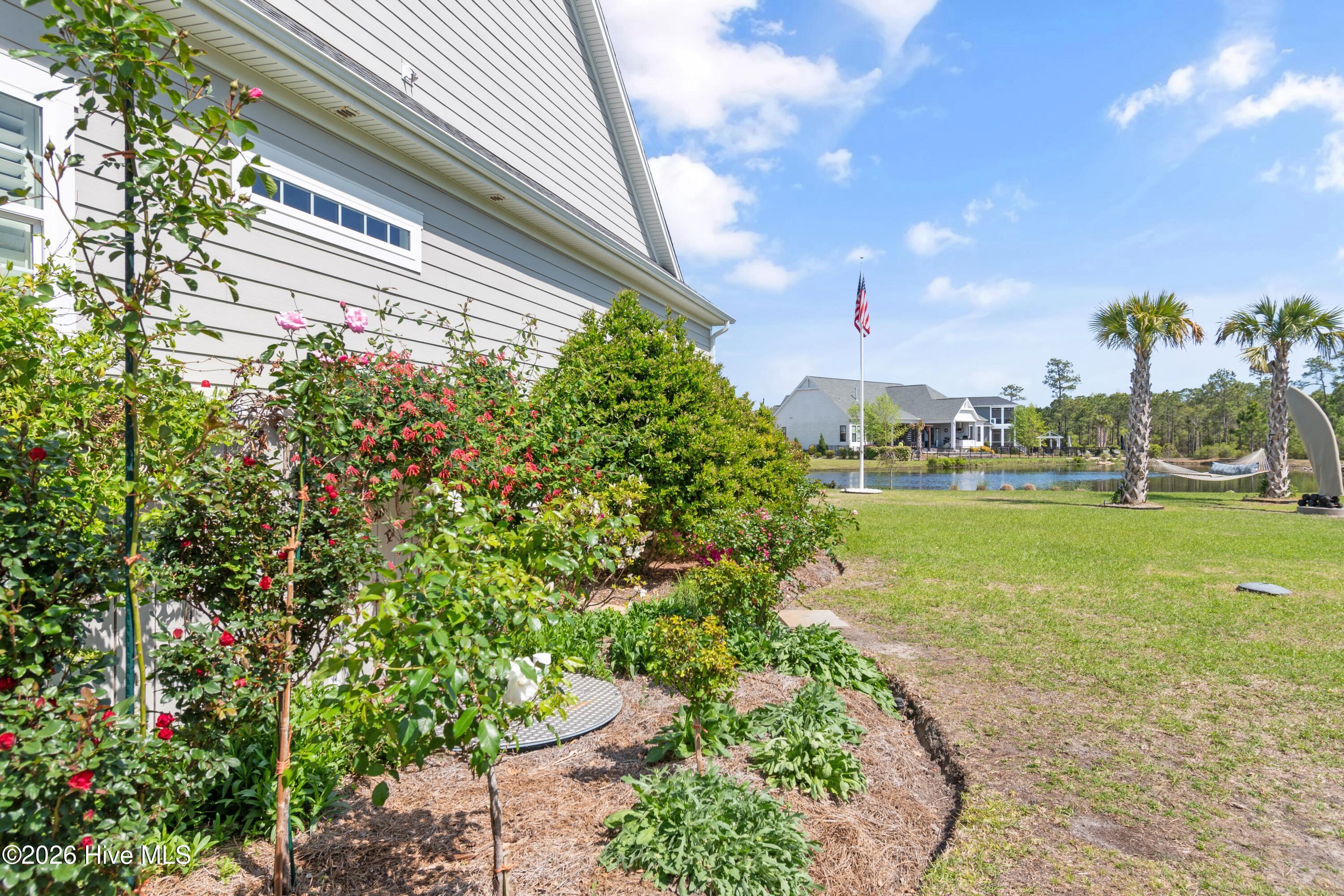 100560288 | Photo 98