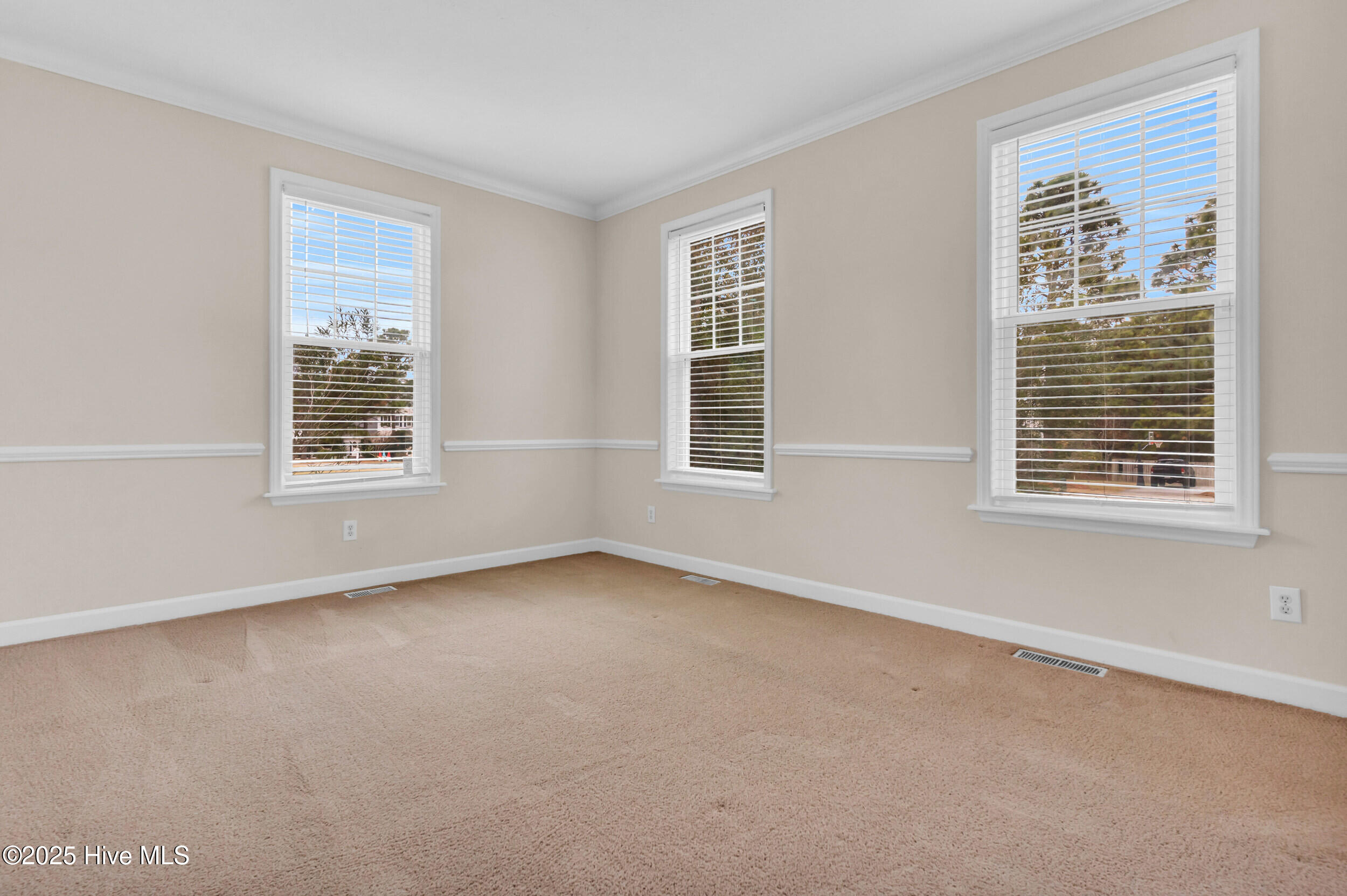 100545048 | Photo 19