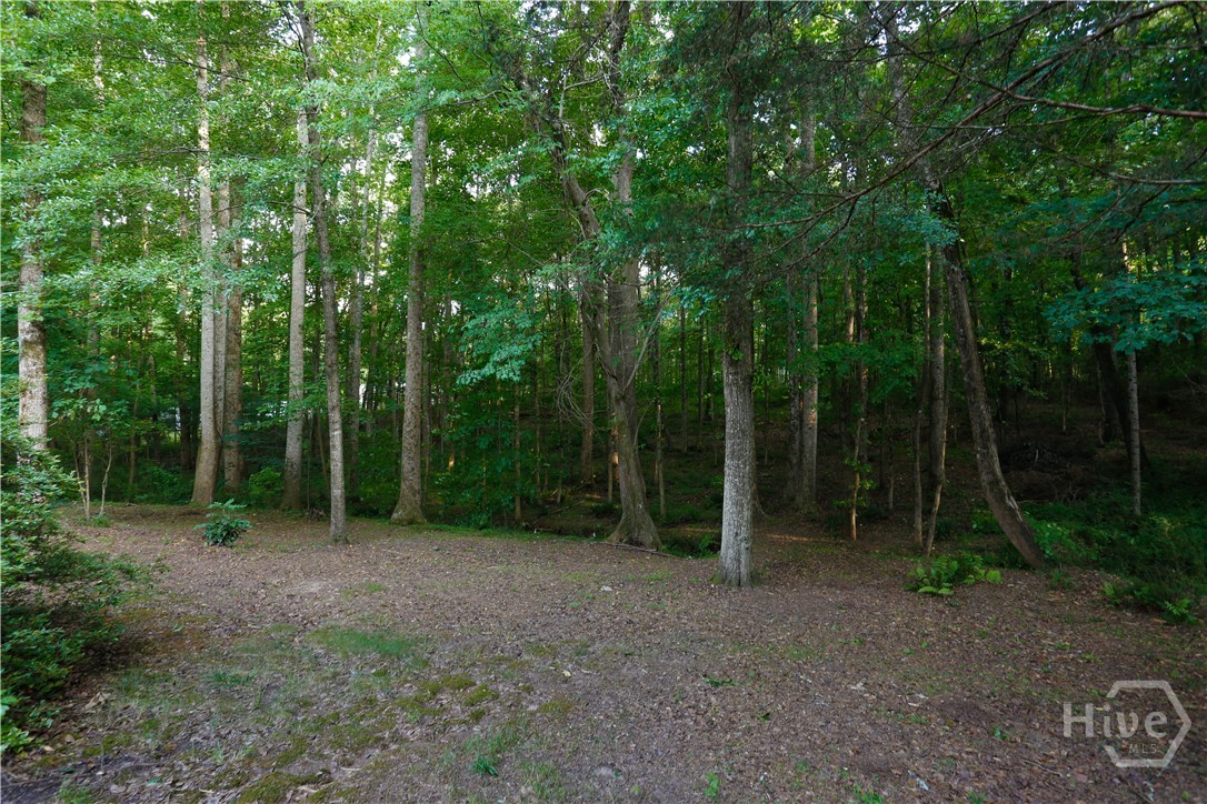 back yard