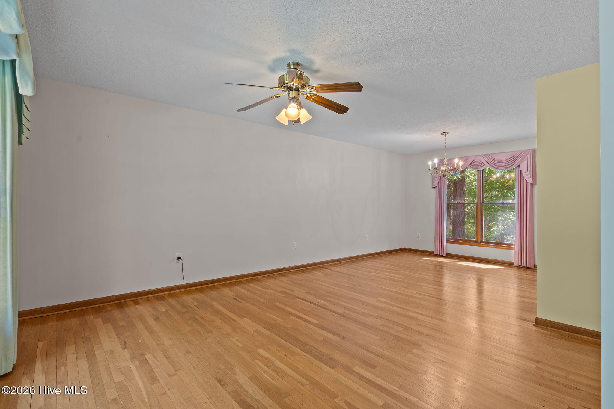 100568125 | Photo 10