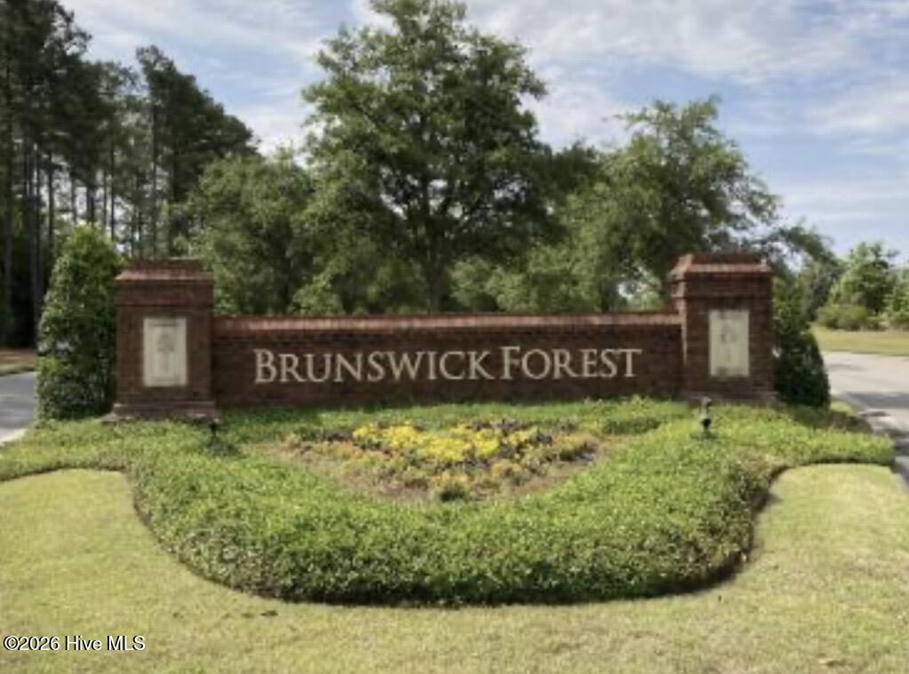 100559631 | Photo 51