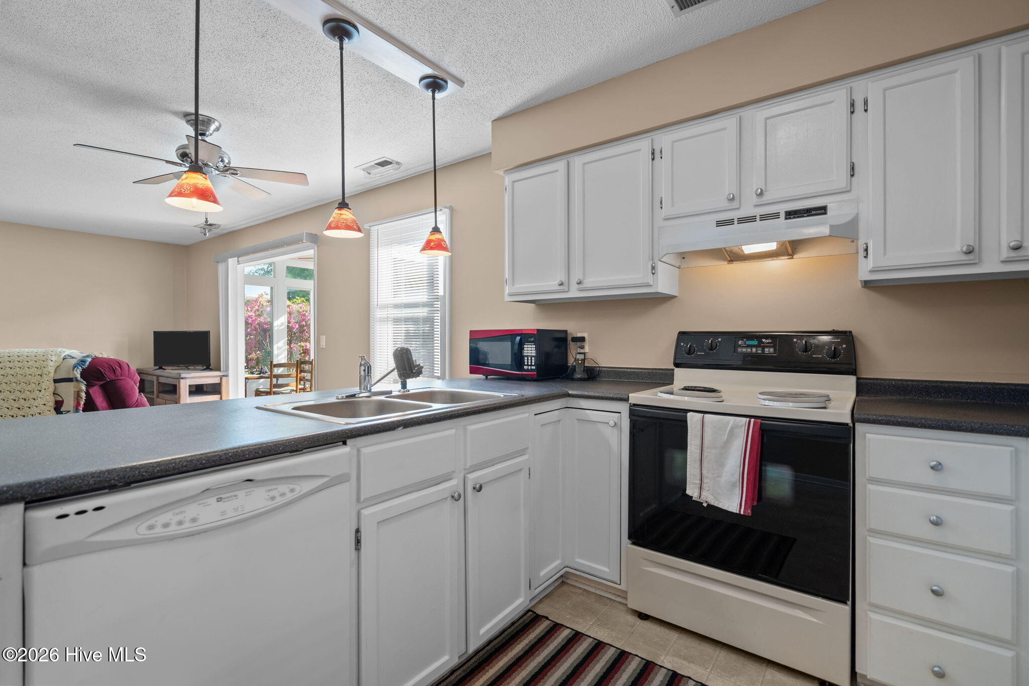 100566557 | Photo 10