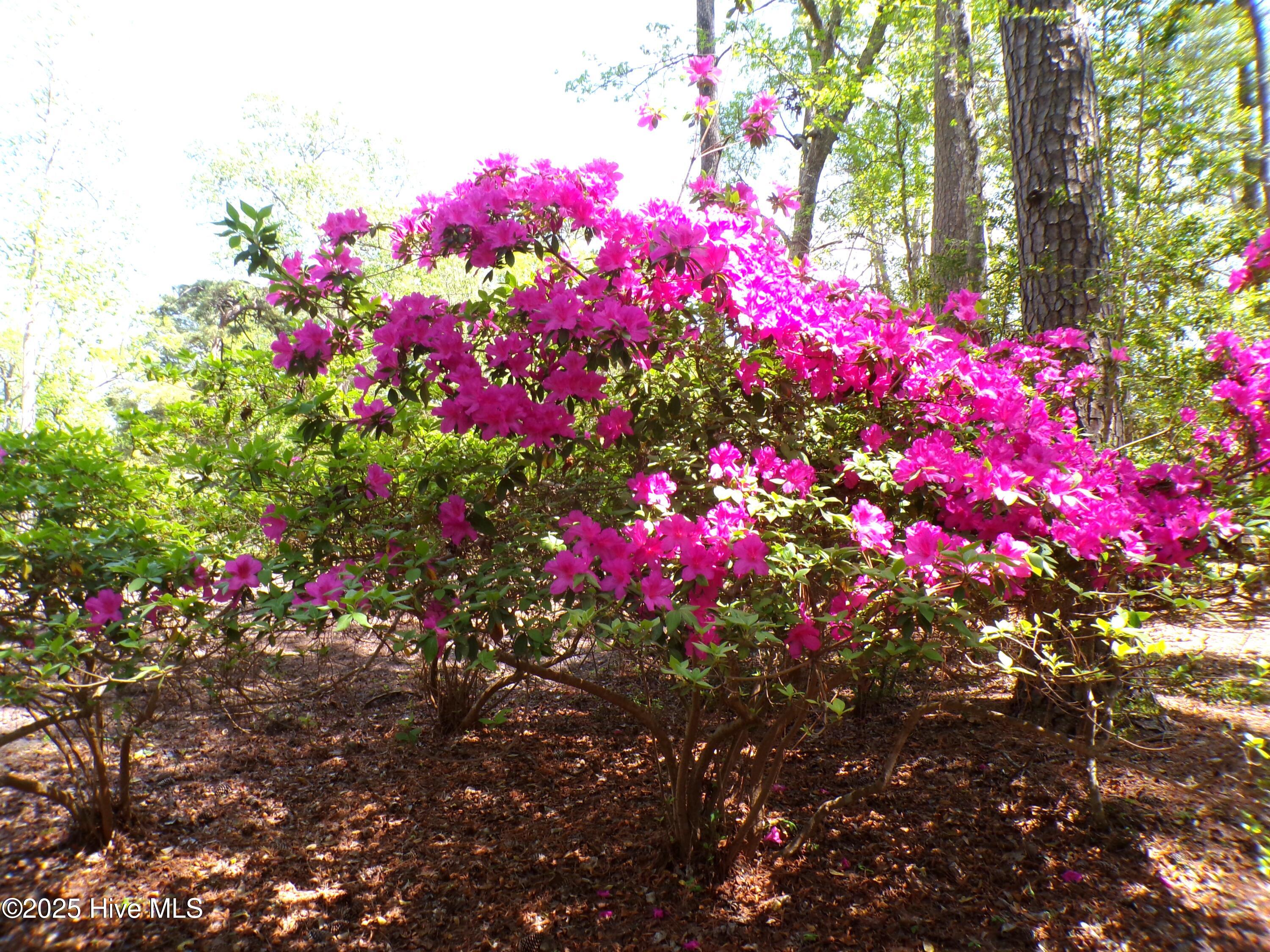 100499822 | Photo 25