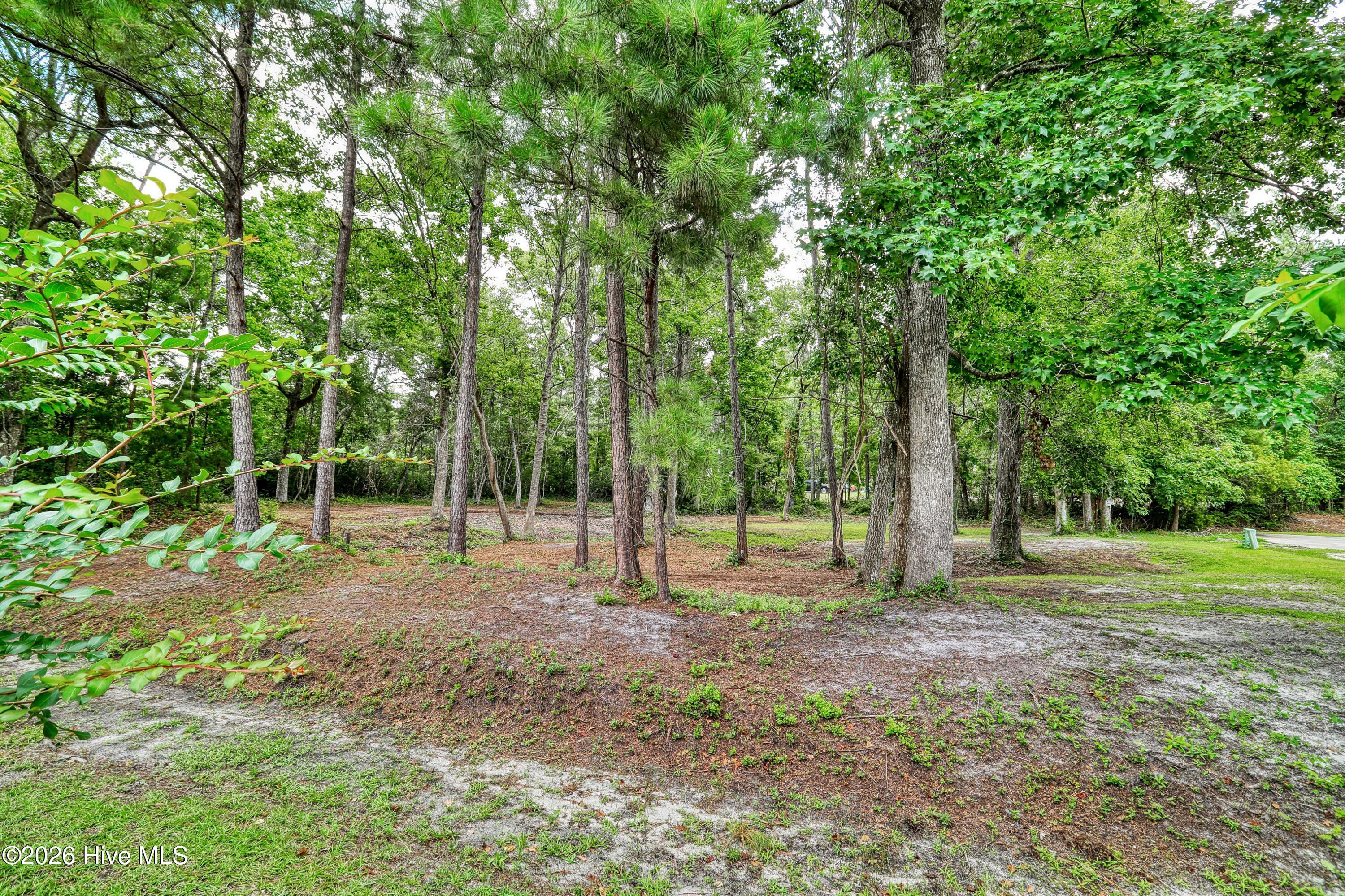 100568147 | Photo 48