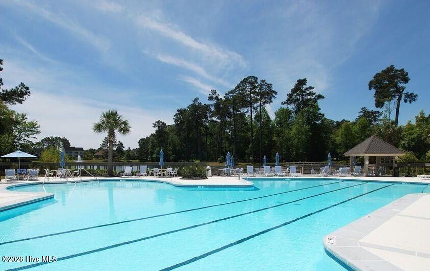 100566129 | Photo 53